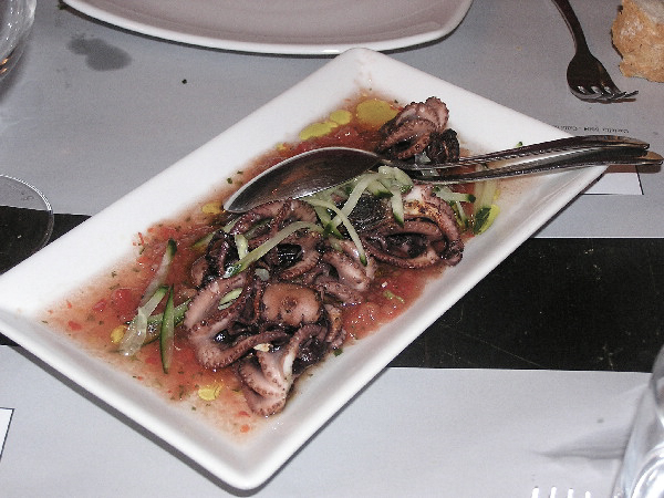 Moscardino