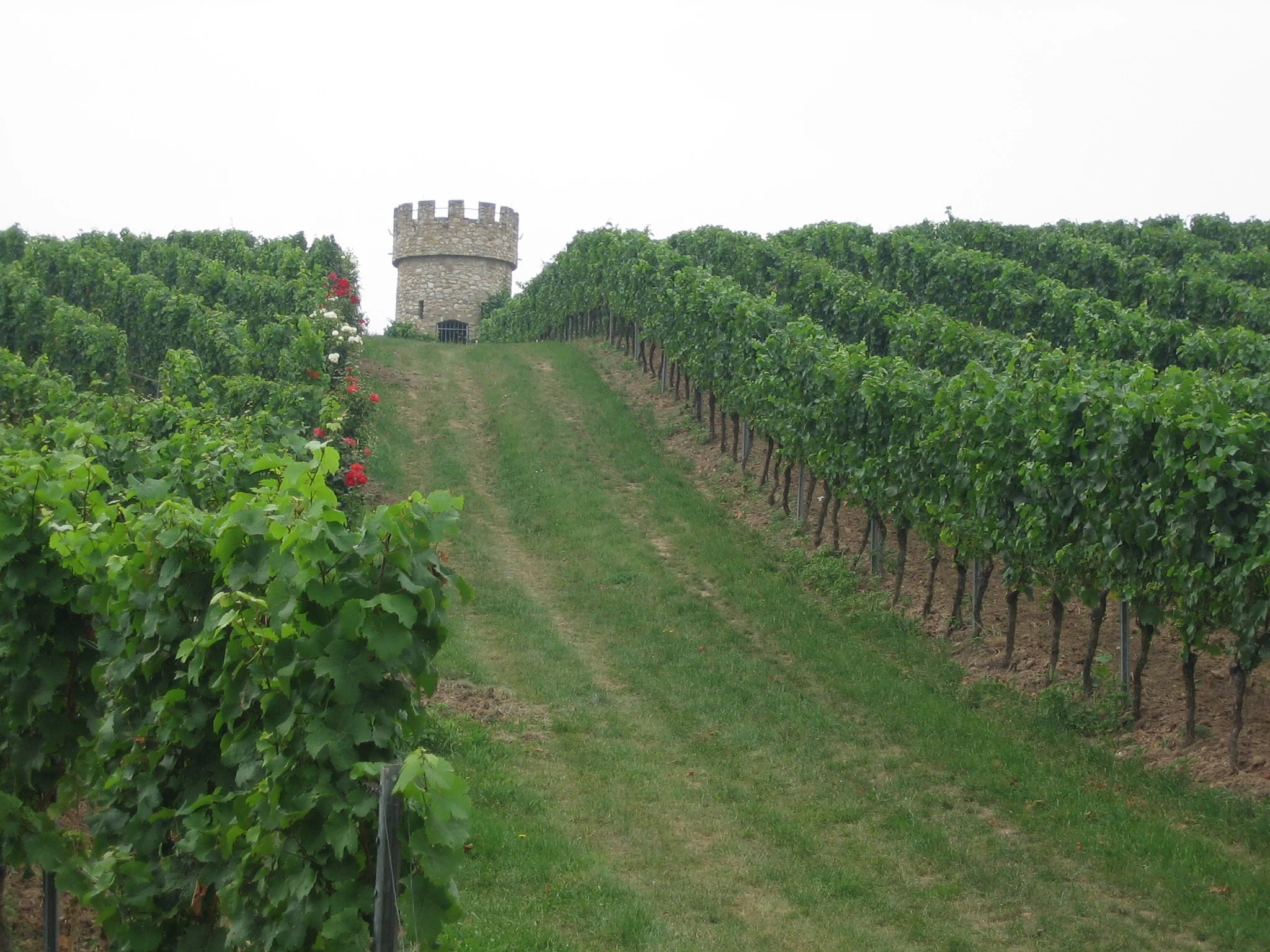 Weingut Keller