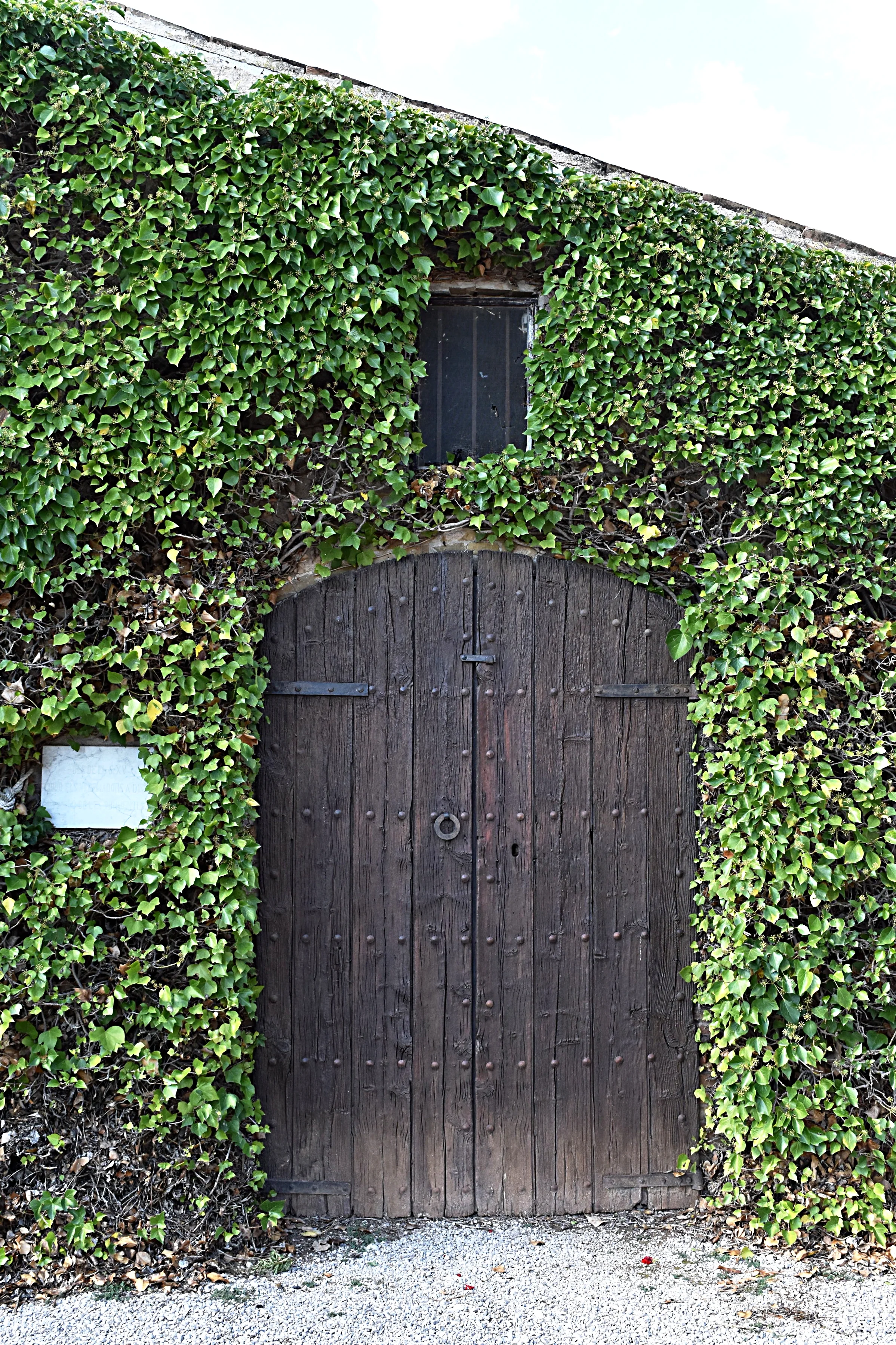 Un día in Spanish Wine Country!