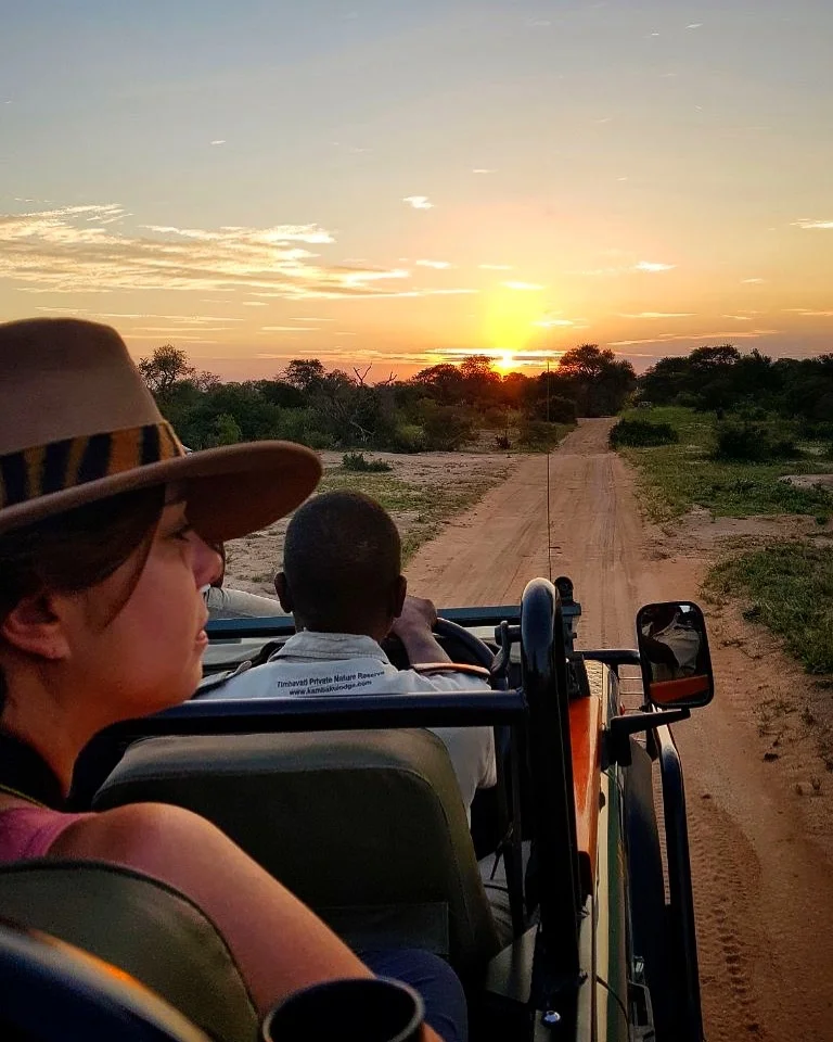 Solo Safari in South Africa