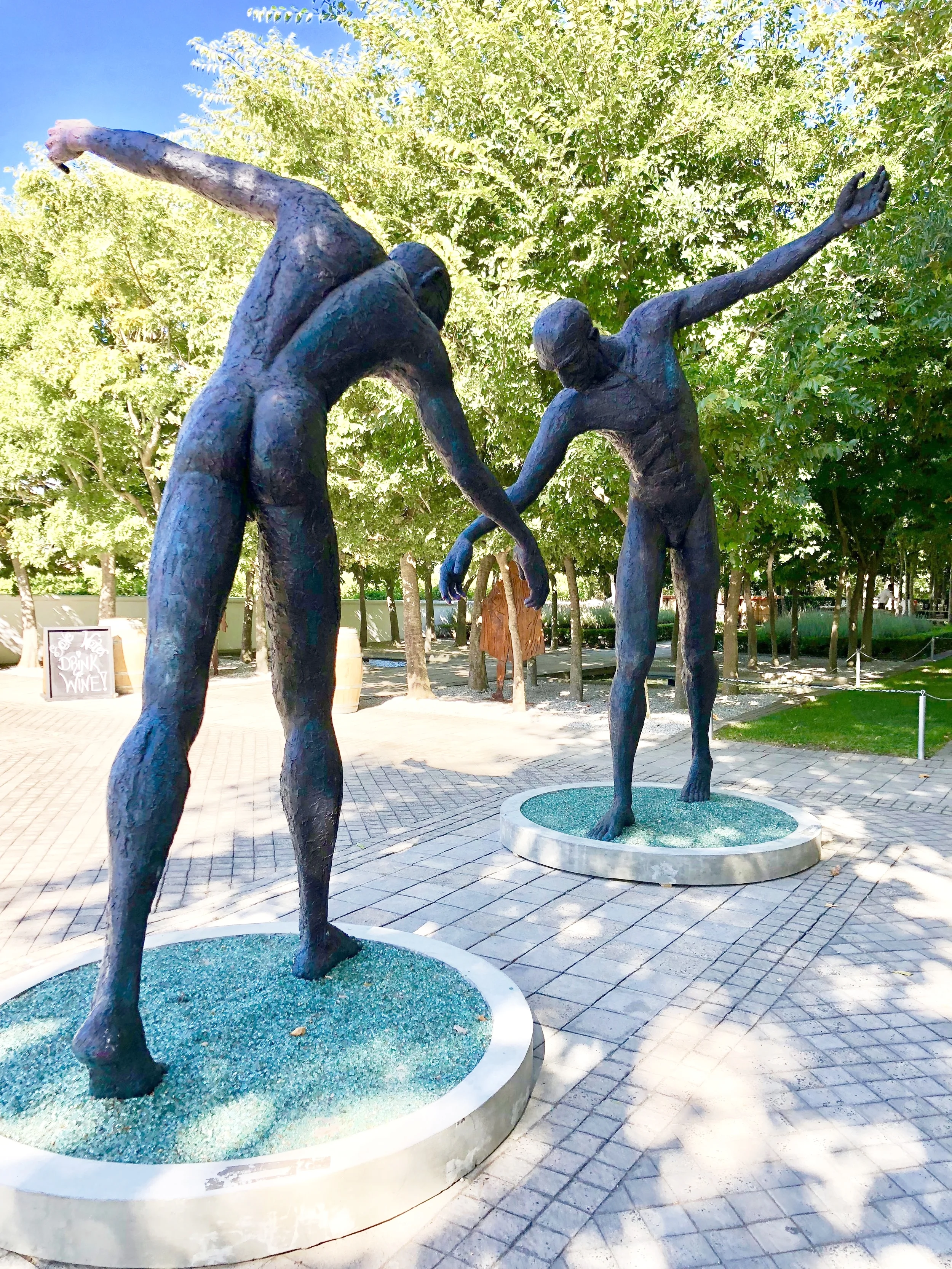 French Cuisine + So Much More in Franschhoek