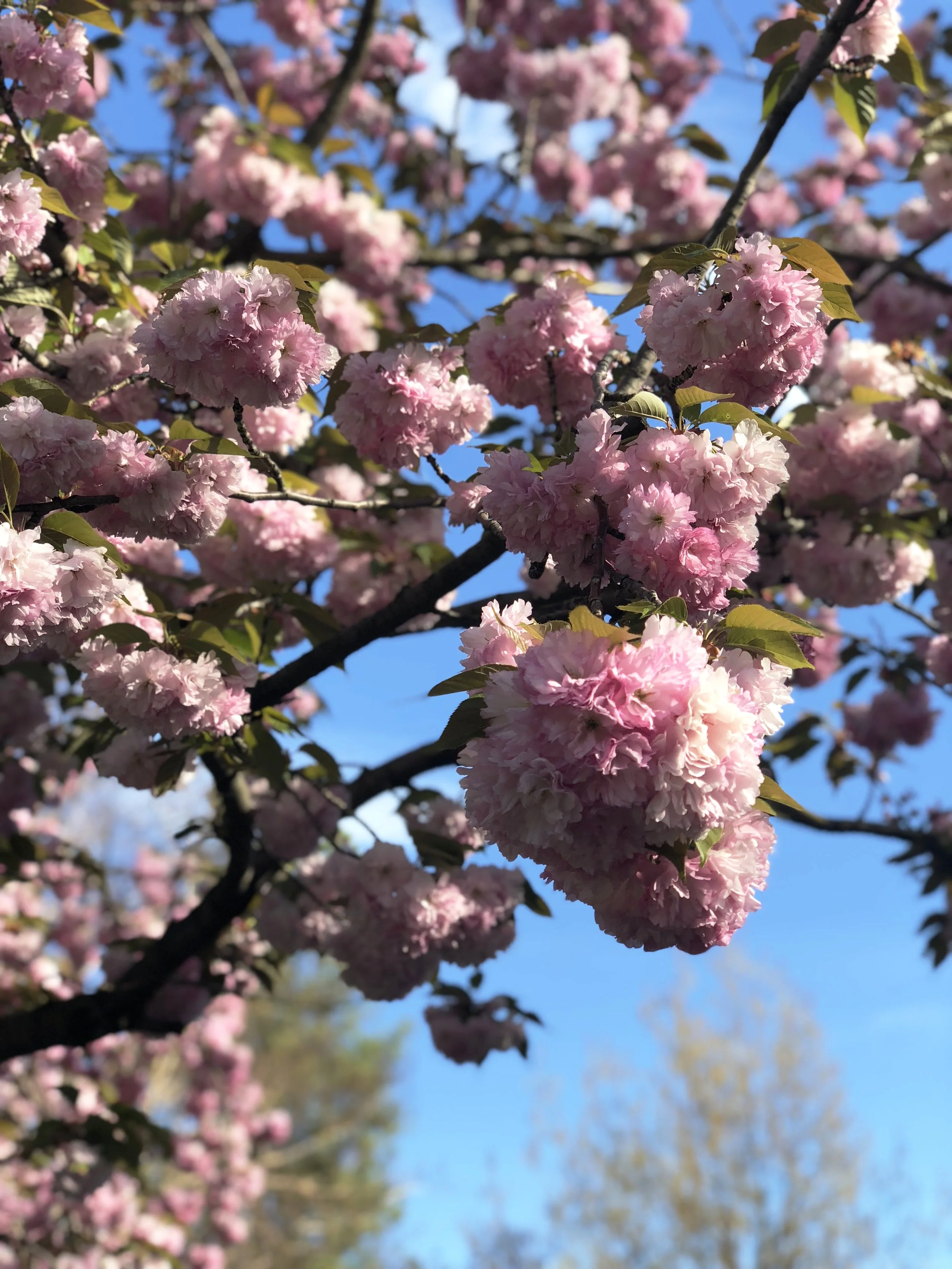 My Winning Picks for Clean Make-Up