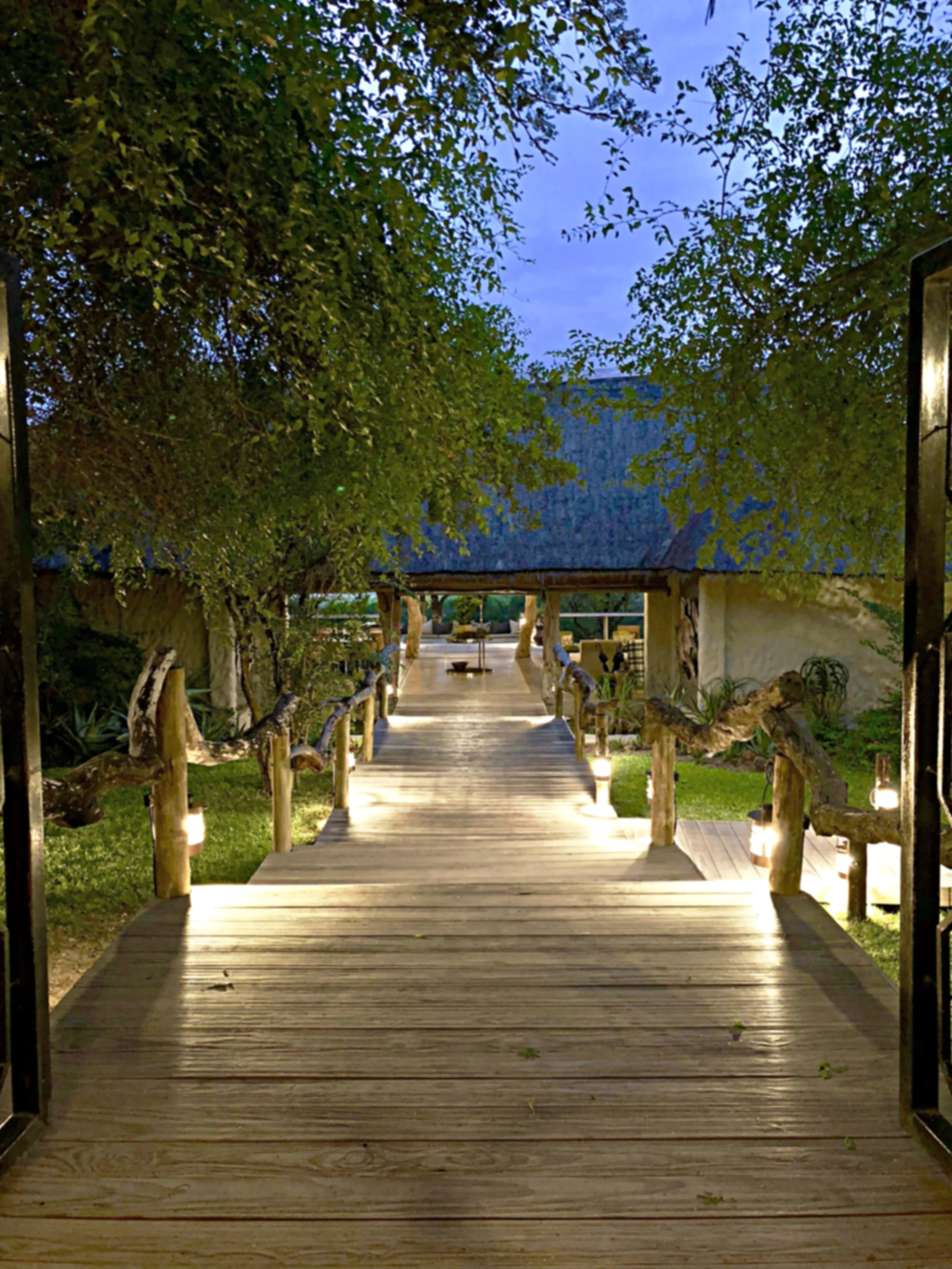 Spotlight: Simbambili Game Lodge