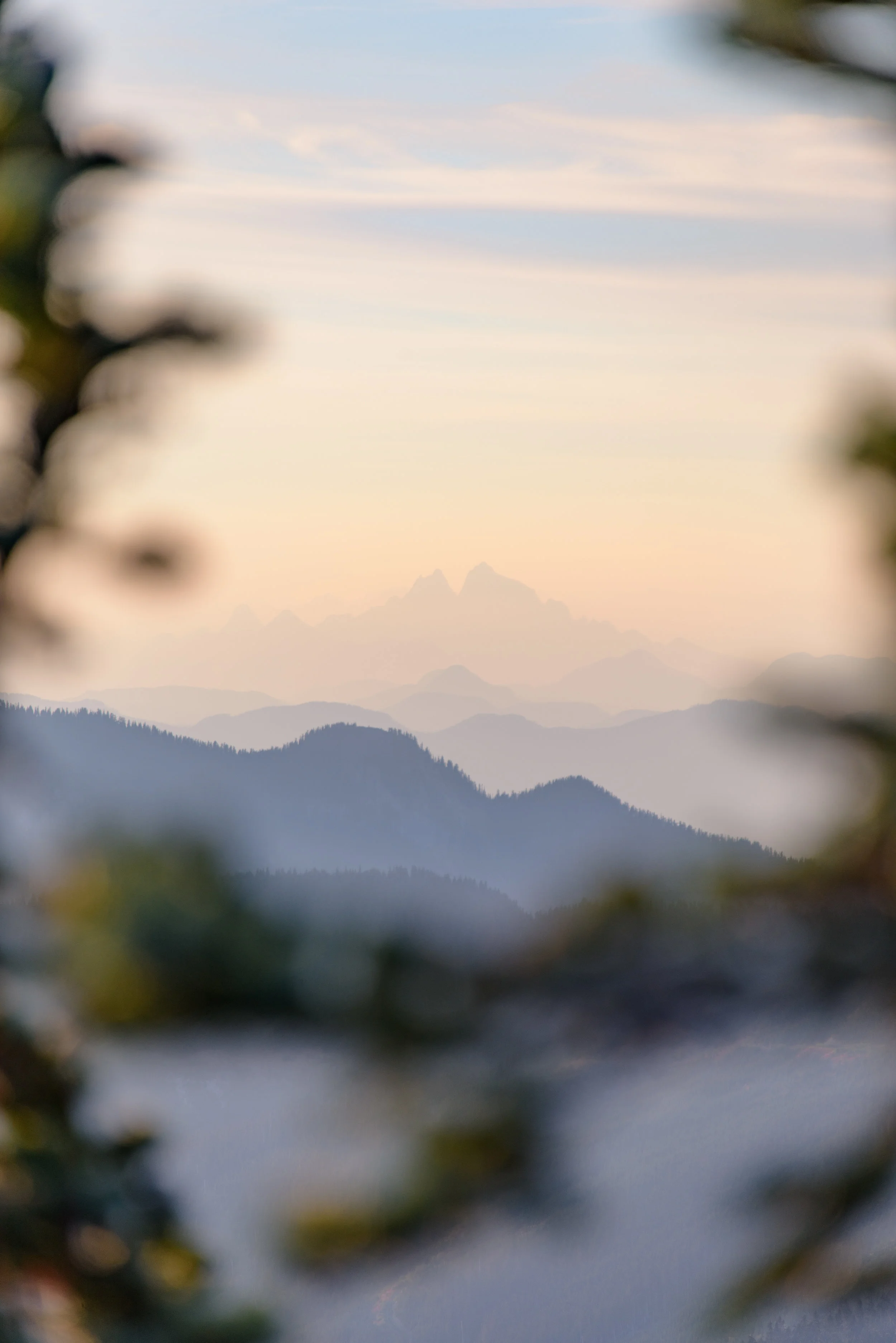 DSC_4573.jpg