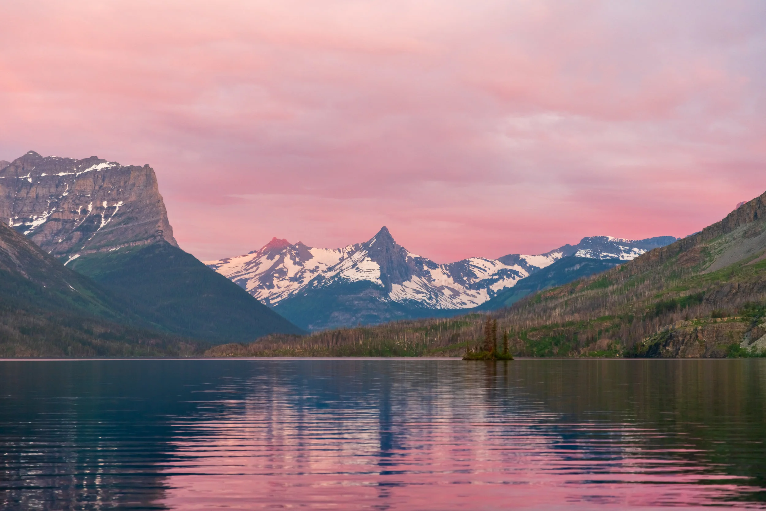 _DSC6568.jpg