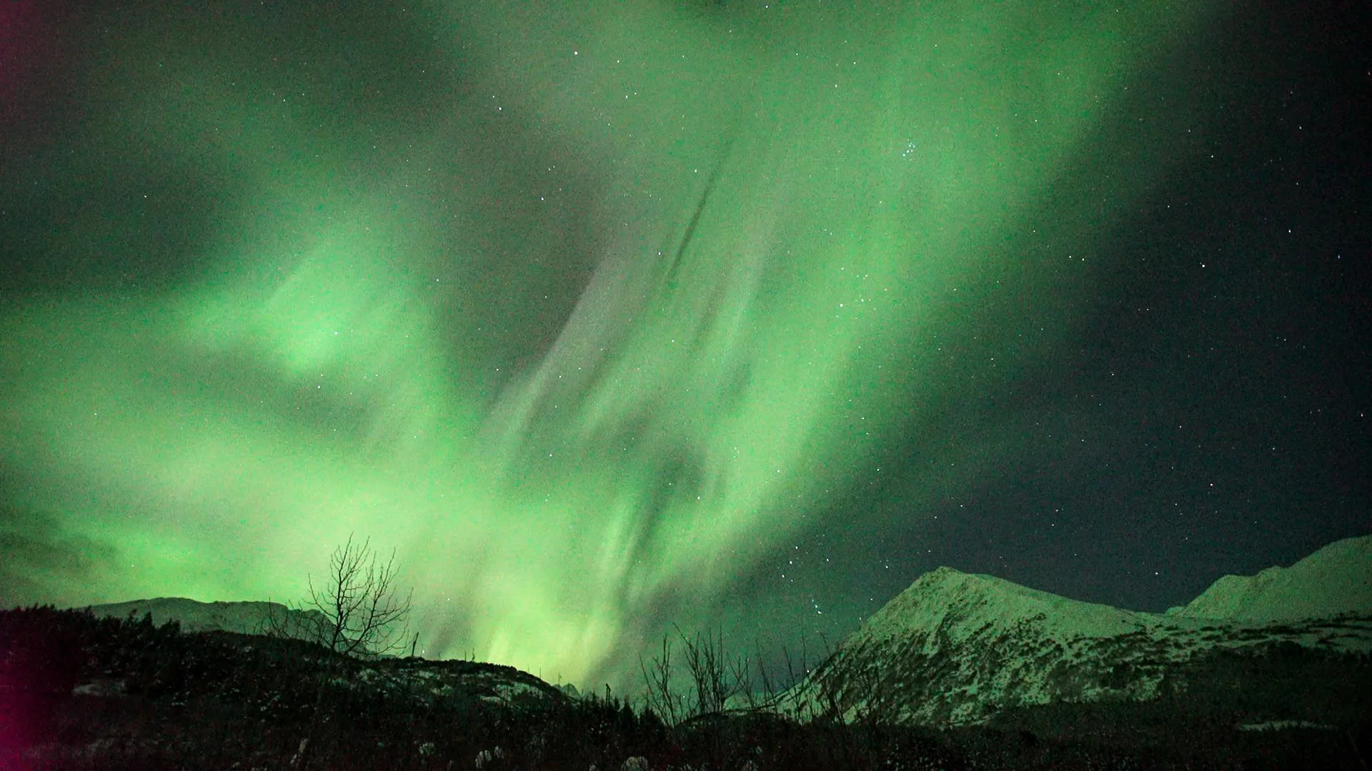 Real time aurora borealis over Turnagain Pass in Alaska