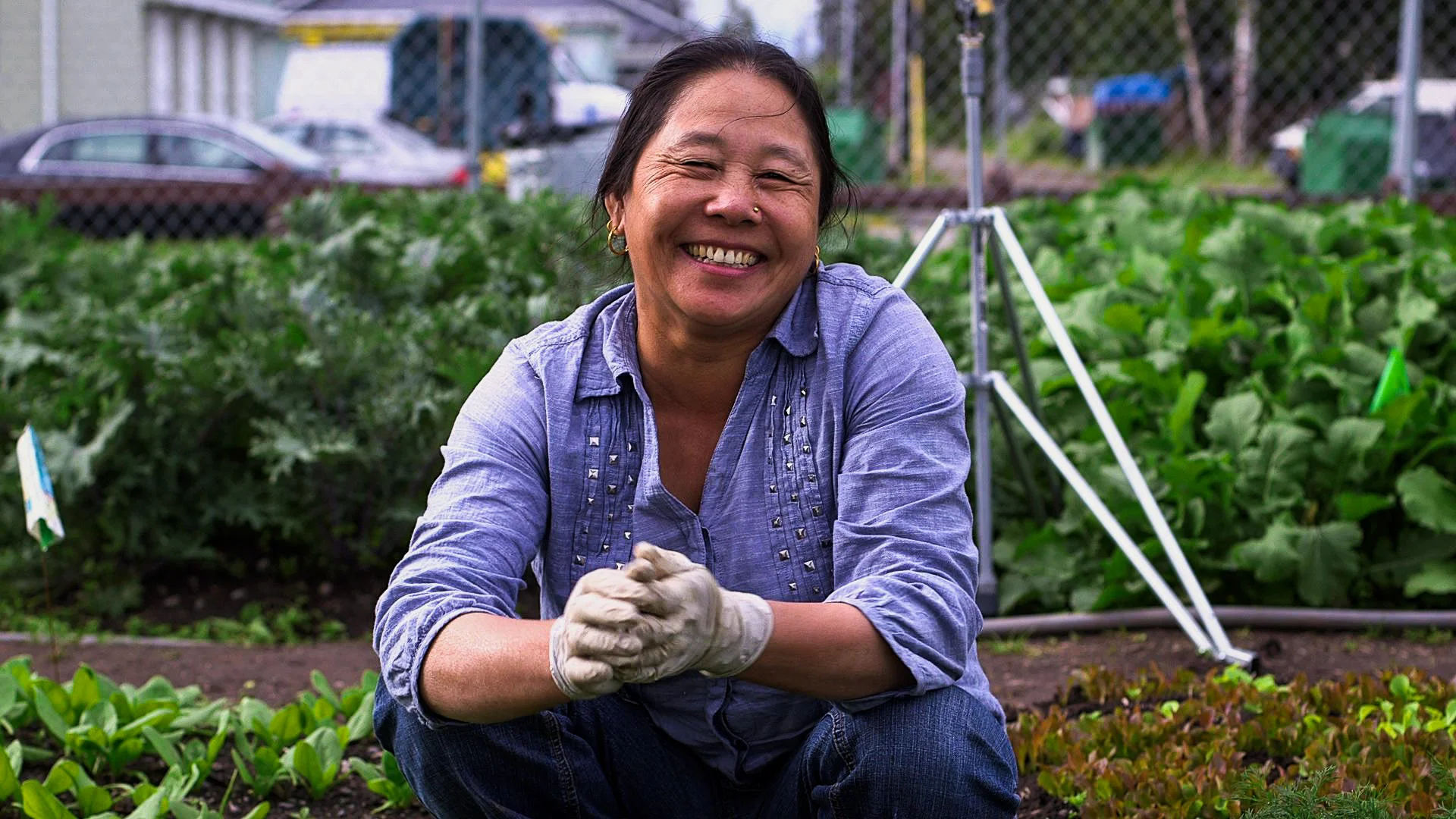 Refugee gardeners in Anchorage