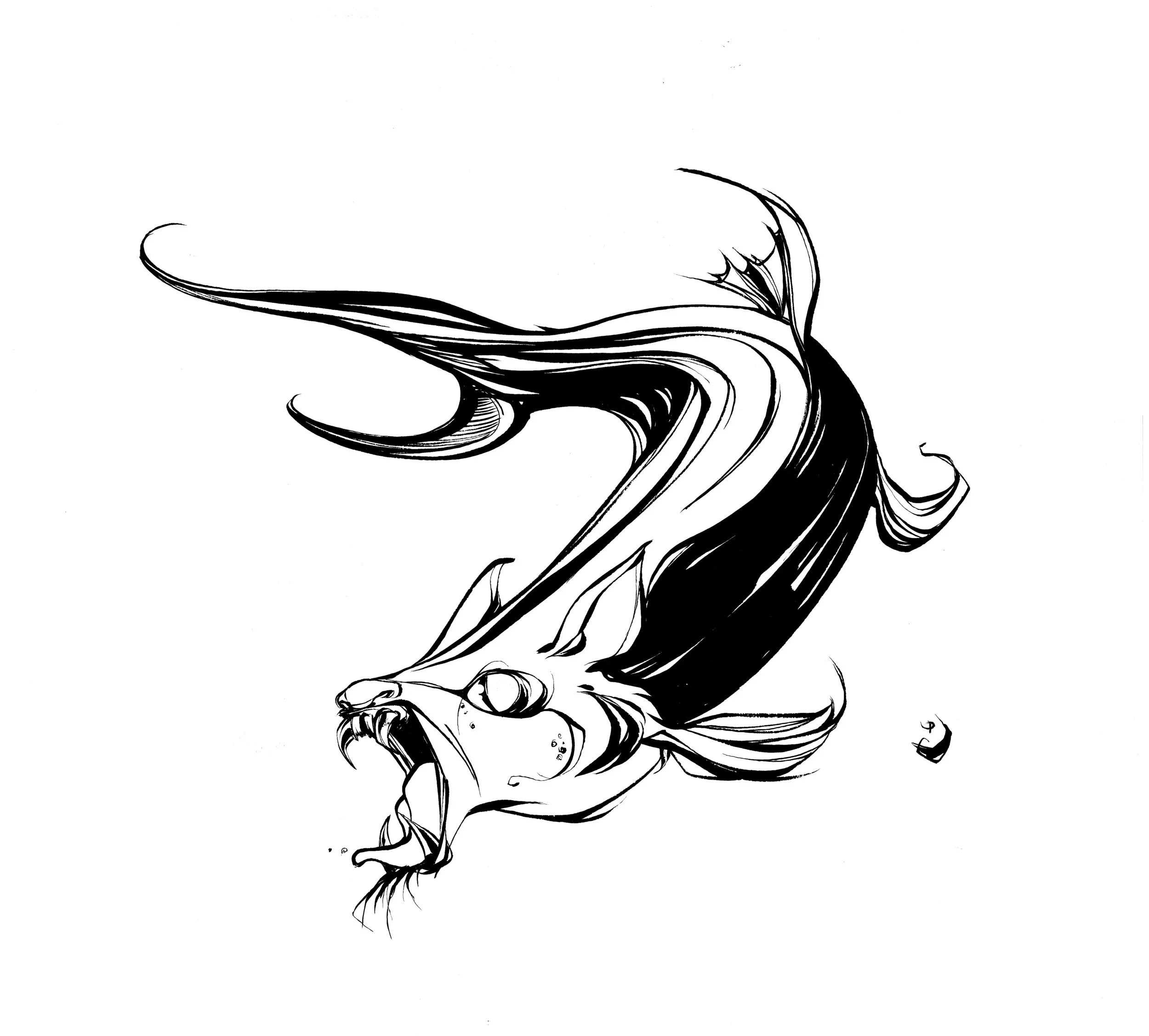 fish1.jpg