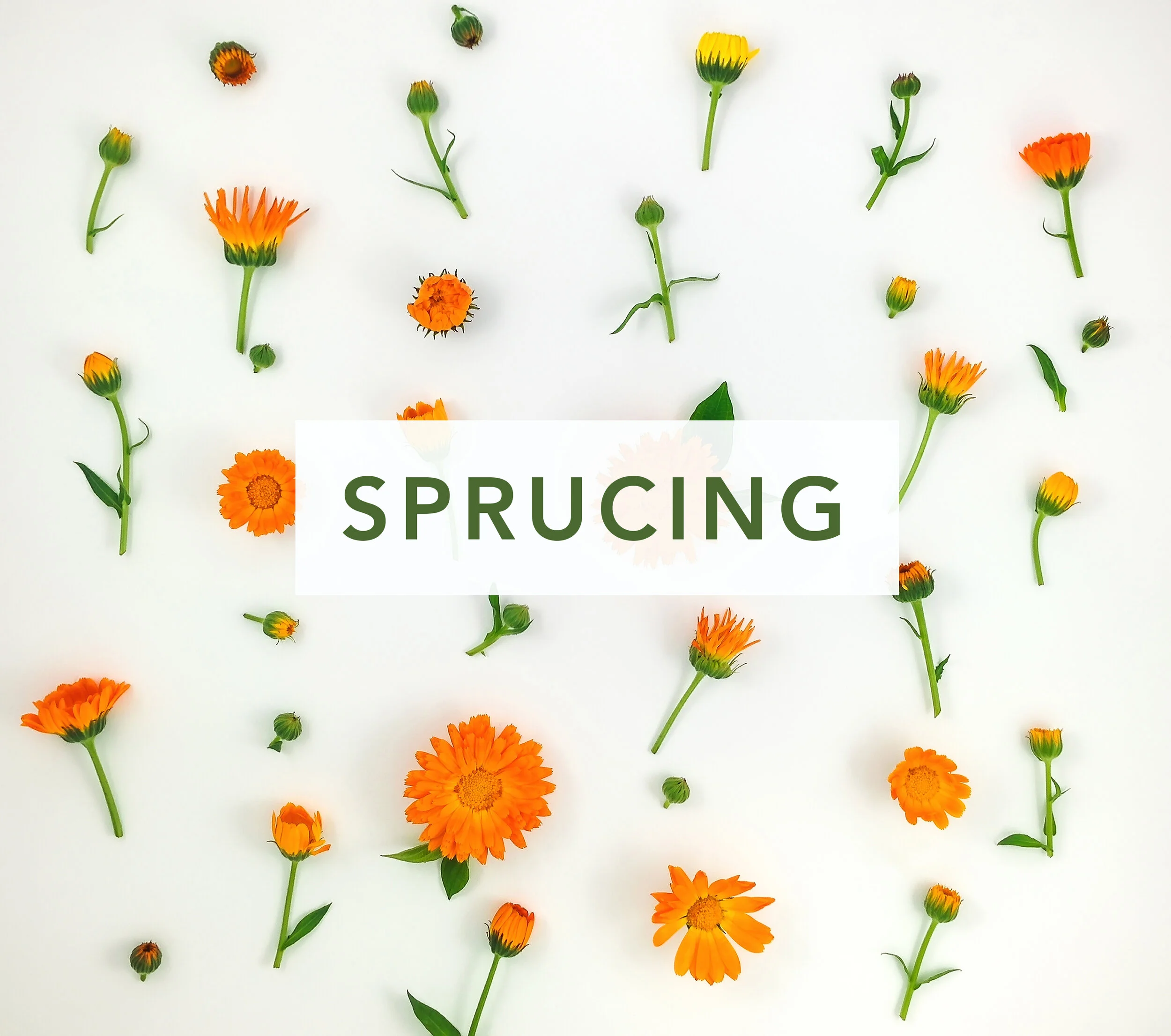 spruced_website.jpg