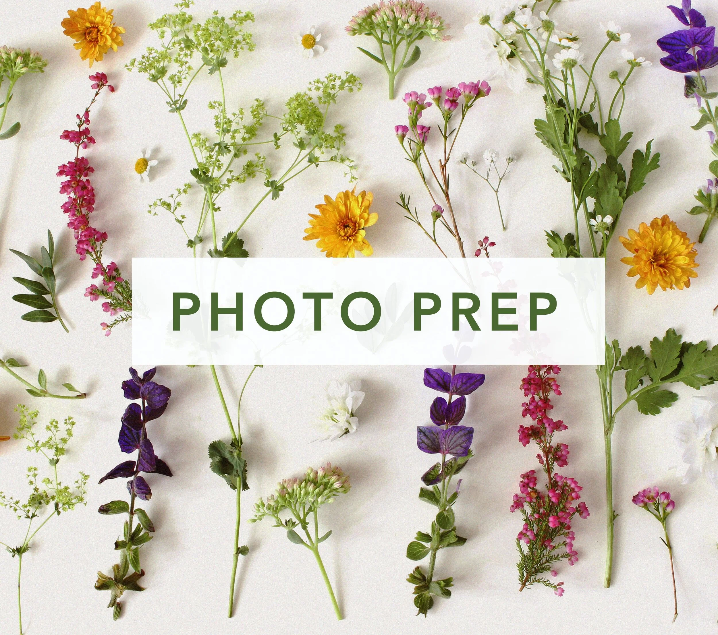 photo_prep_service_card_website.jpg