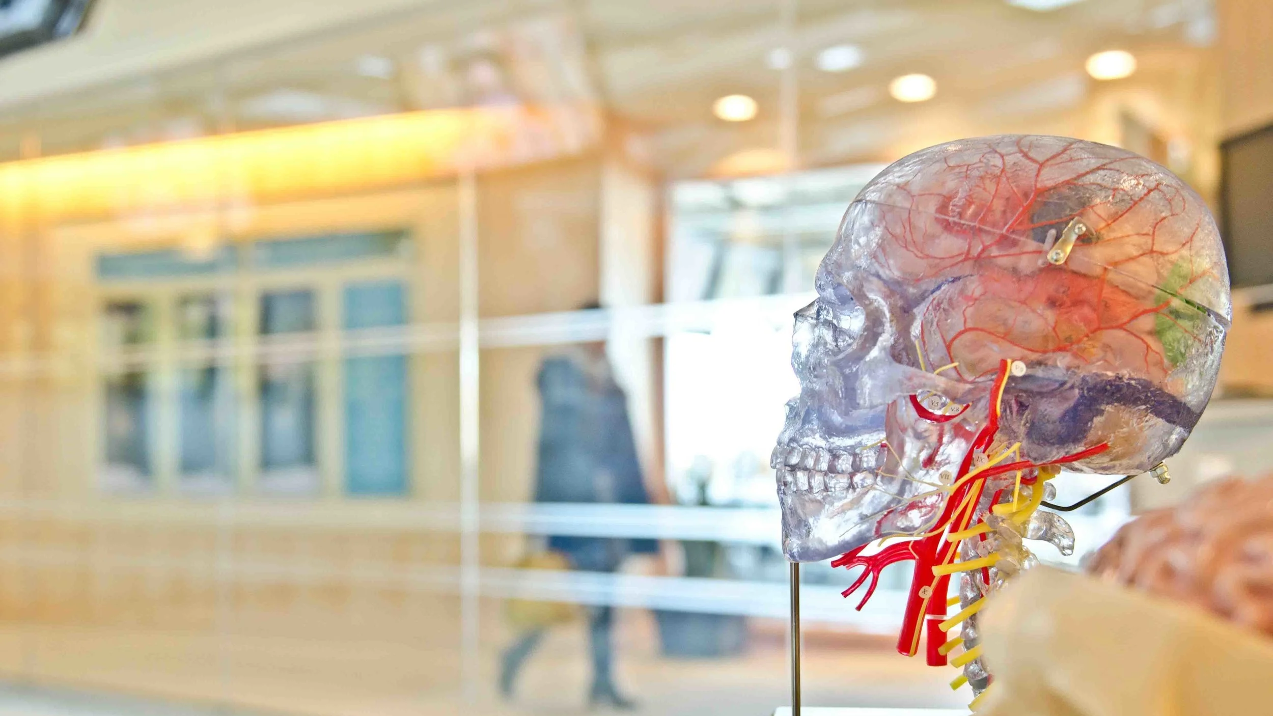 Aelan Cell Technologies Announces Development of Novel Alzheimer's Biomarker
