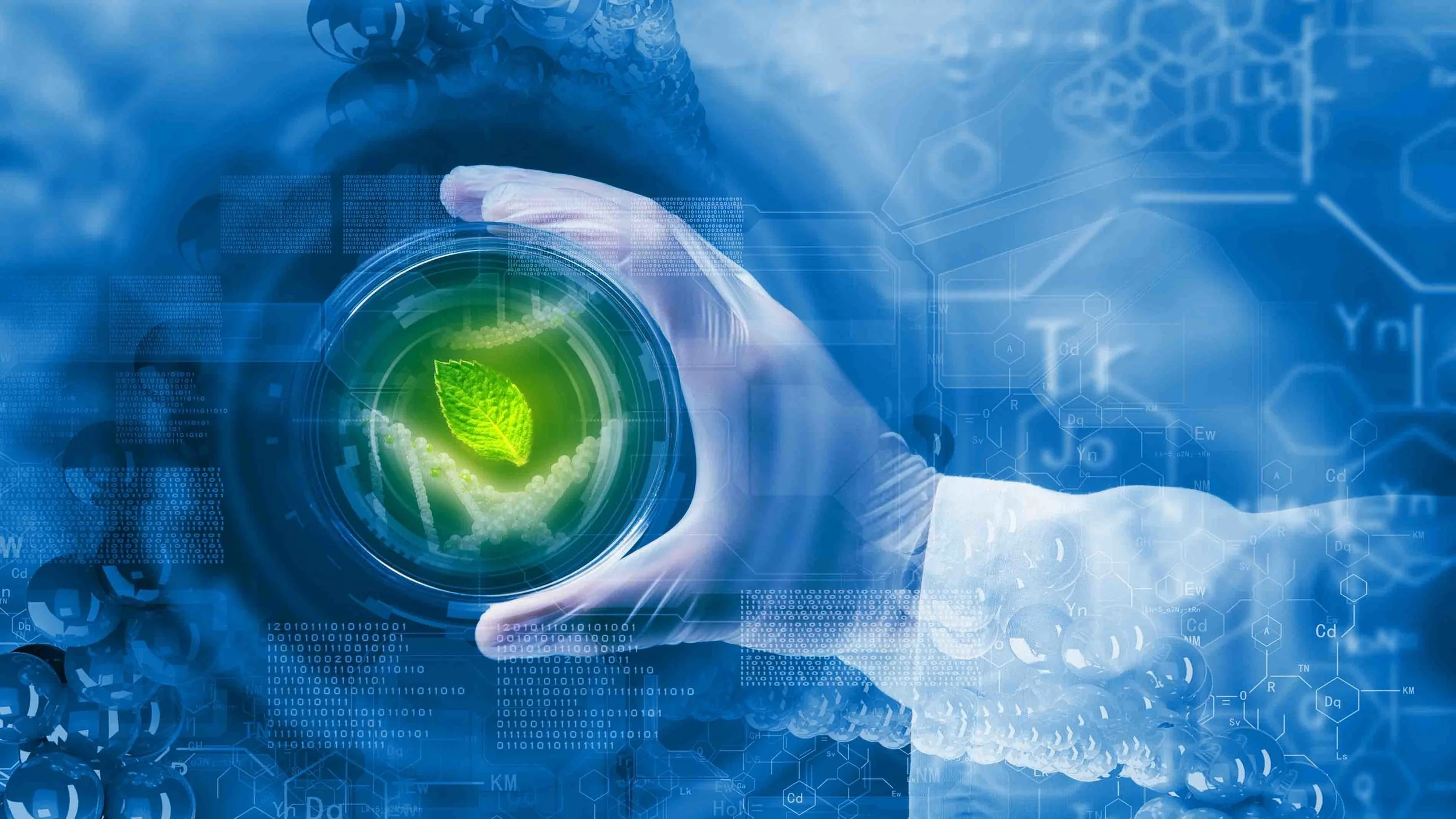 US Equity Holdings Expands Interest in Biotechnology