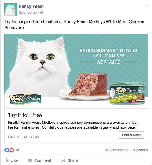 medleysportfolio1.png