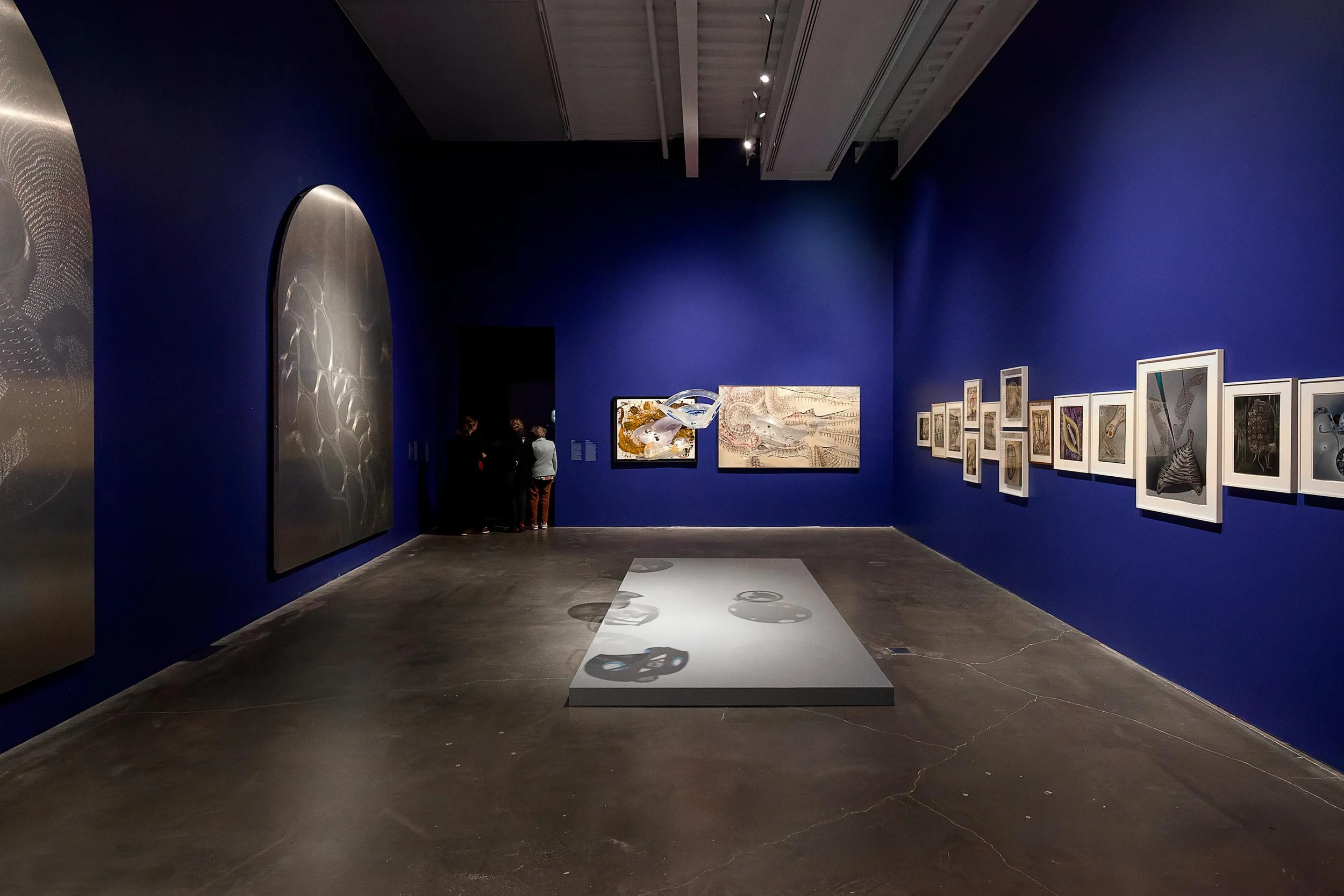 New-Museum-NYC-Daniel-Stauch_MG_6782-20260507-DxO_DeepPRIME-3_web_web.jpg