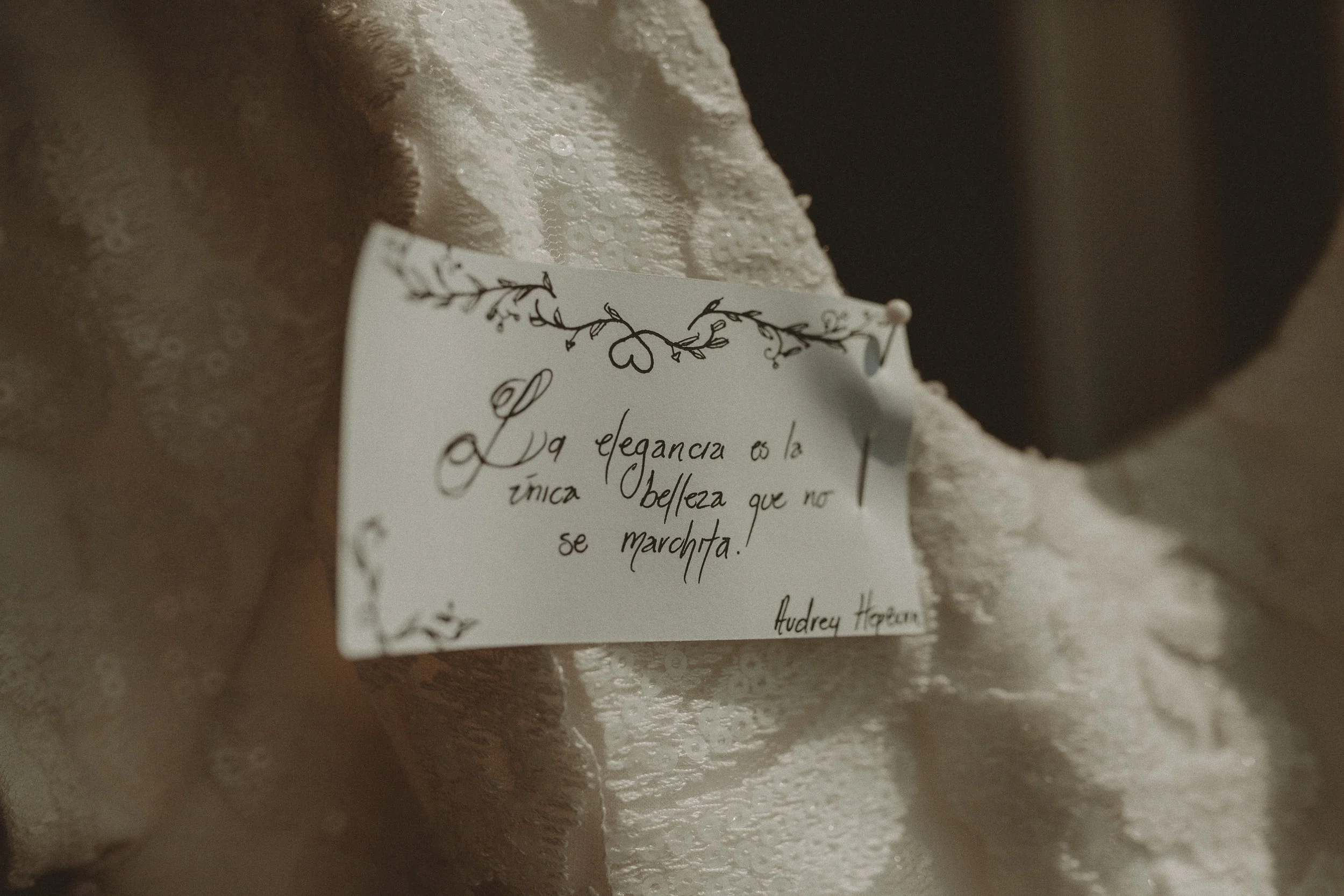 Mateo-3.jpg