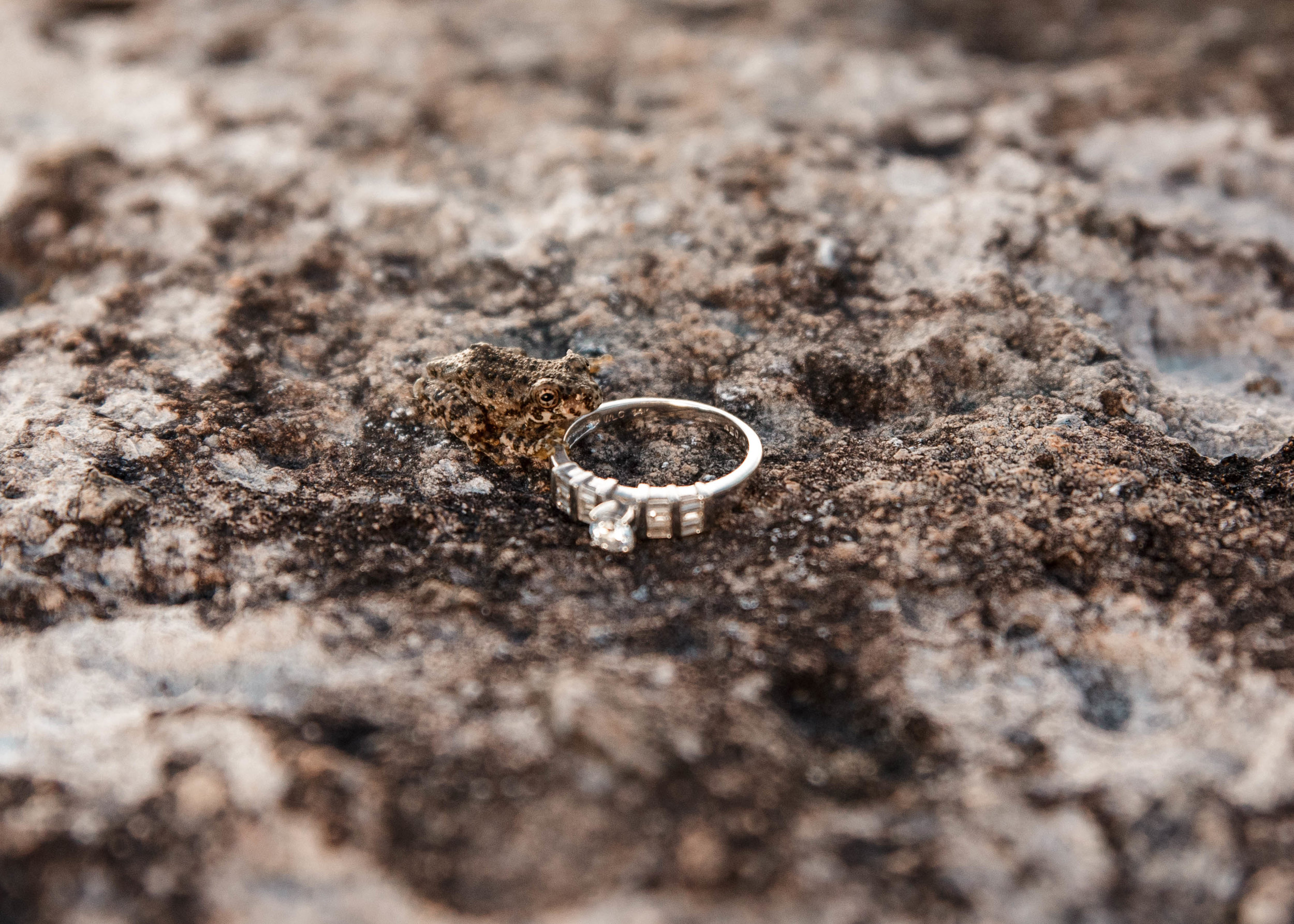 Fotografo-de-bodas-destino-Mexico-wedding-destination-photographer-san-miguel-de-allende-guanajuato-queretaro-boho-bohemian-bohemio-chic-editorial-carotida-photographer-naturaleza