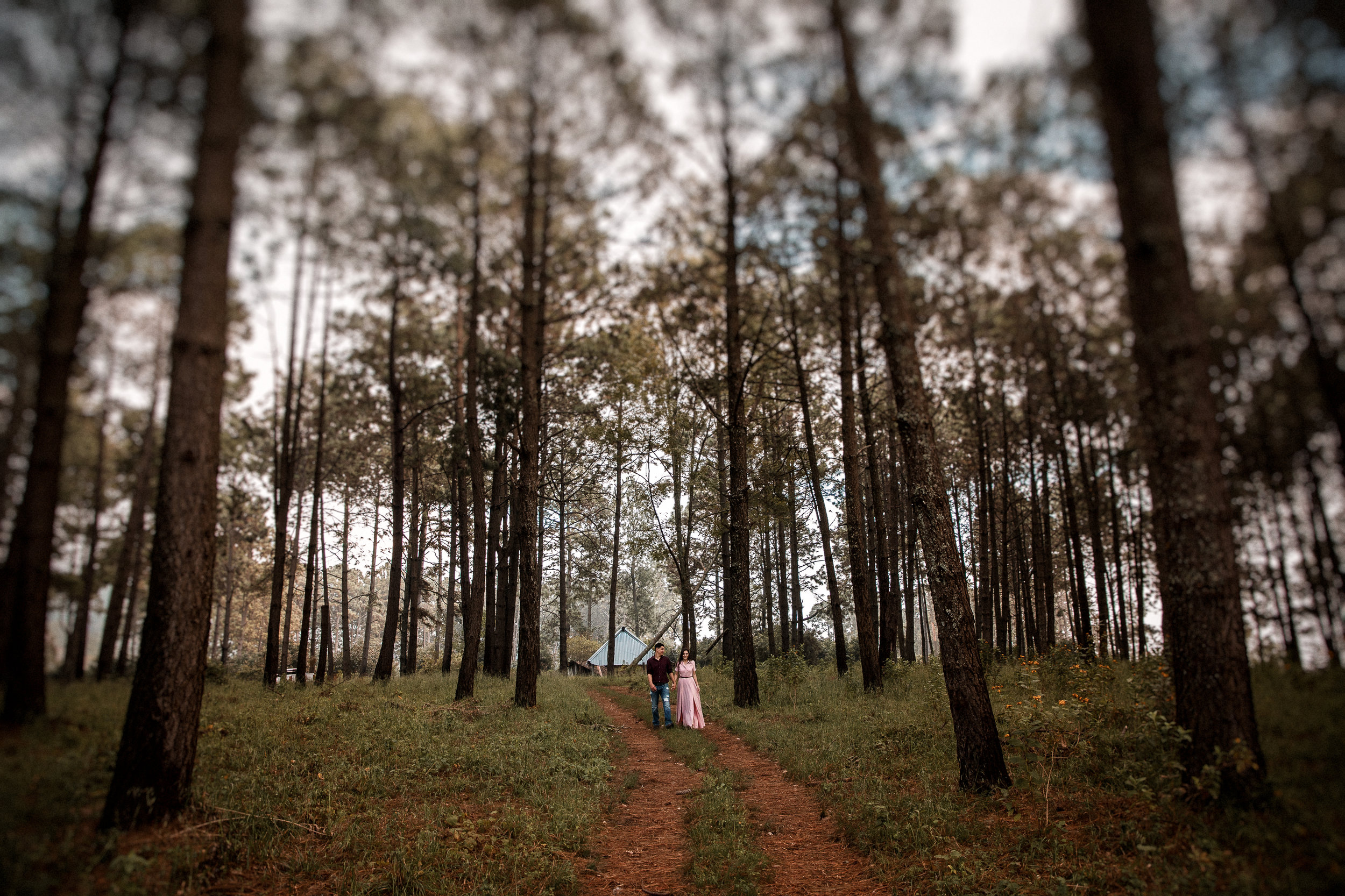 Fotografo-de-bodas-destino-Mexico-wedding-destination-photographer-san-miguel-de-allende-guanajuato-queretaro-boho-bohemian-bohemio-chic-editorial-carotida-photographer-lago-michoacan-los-cabos