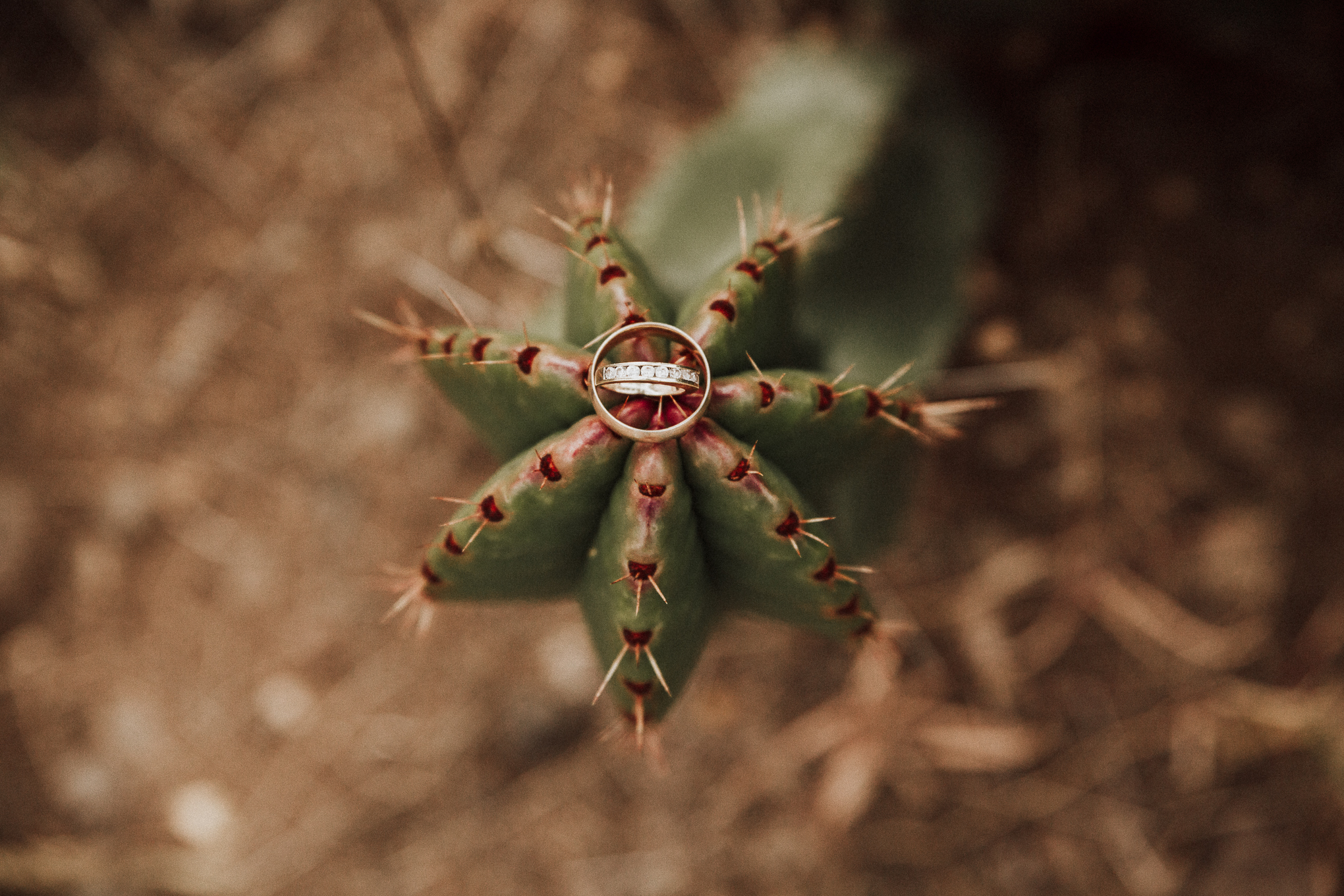 Fotografo-de-bodas-destino-Mexico-wedding-destination-photographer-san-miguel-de-allende-guanajuato-queretaro-boho-bohemian-bohemio-chic-editorial-carotida-photographer-lago-michoacan-los-cabos