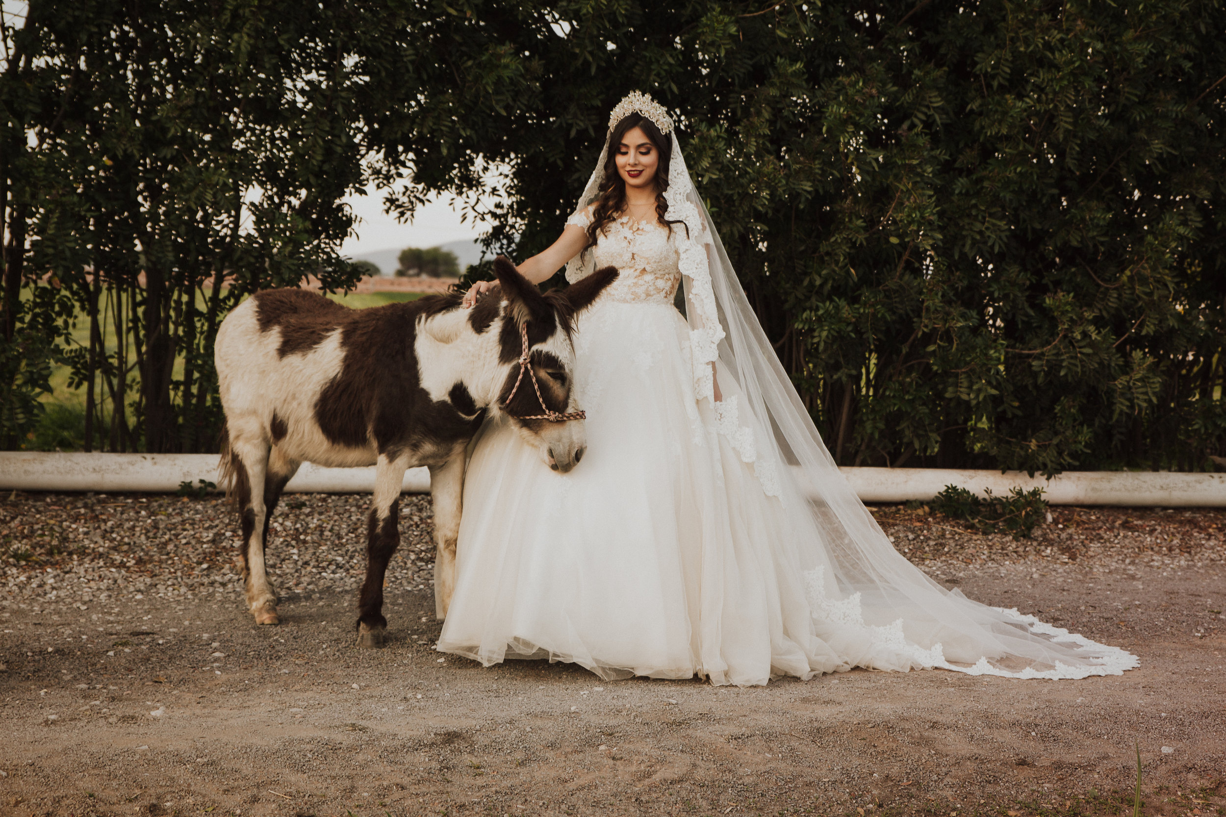 Fotografo-de-bodas-destino-Mexico-wedding-destination-photographer-san-miguel-de-allende-guanajuato-queretaro-boho-bohemian-bohemio-chic-editorial-carotida-photographer-canada-banff-alberta