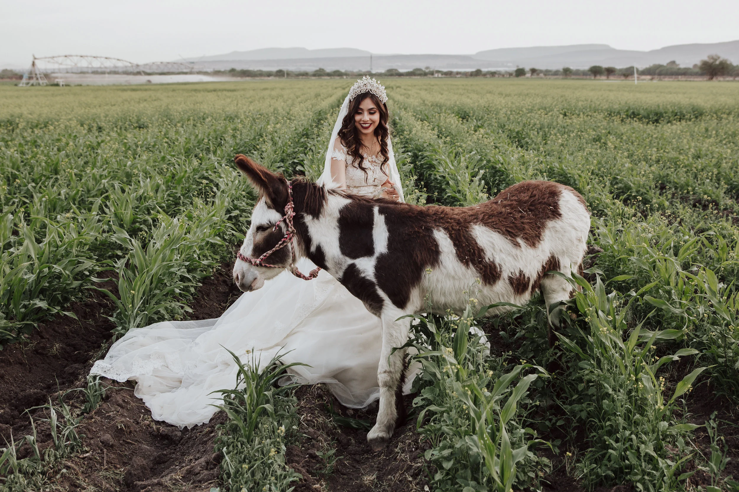 Fotografo-de-bodas-destino-Mexico-wedding-destination-photographer-san-miguel-de-allende-guanajuato-queretaro-boho-bohemian-bohemio-chic-editorial-carotida-photographer-canada-banff-alberta