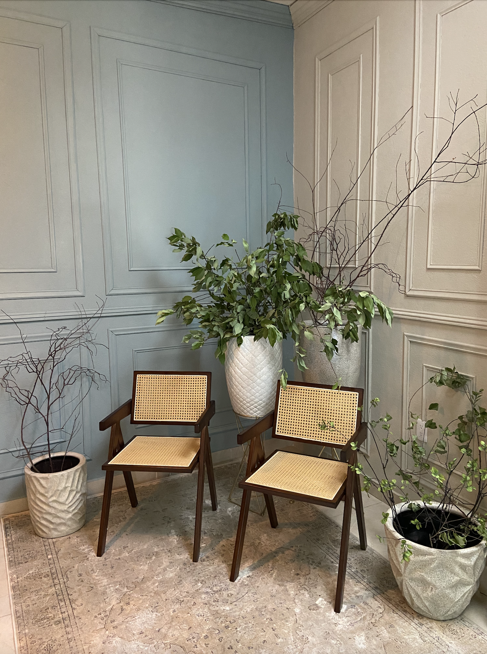 Captura de pantalla 2025-04-25 a la(s) 12.27.54 p.m..png