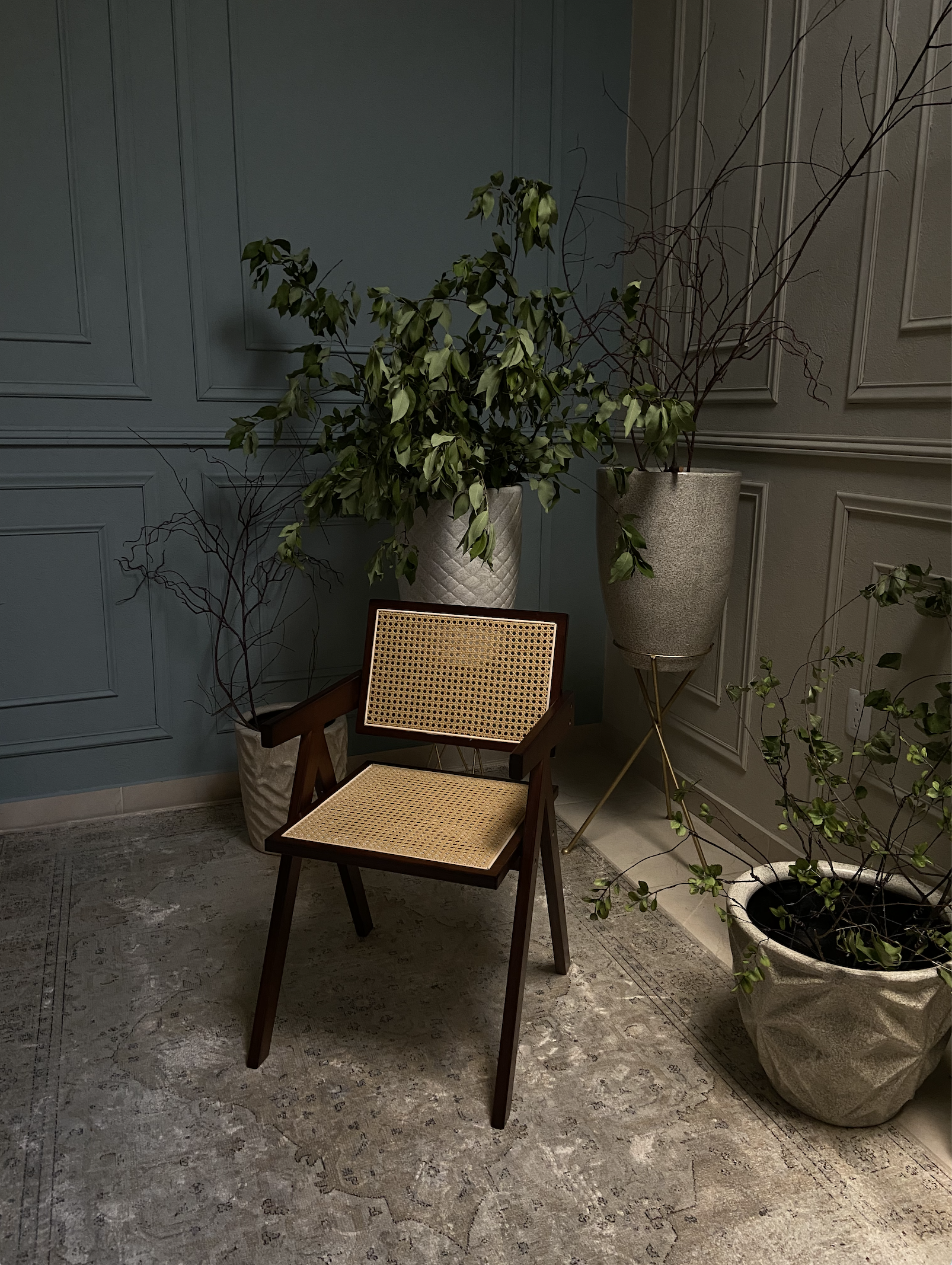 Captura de pantalla 2025-04-25 a la(s) 4.04.04 p.m..png