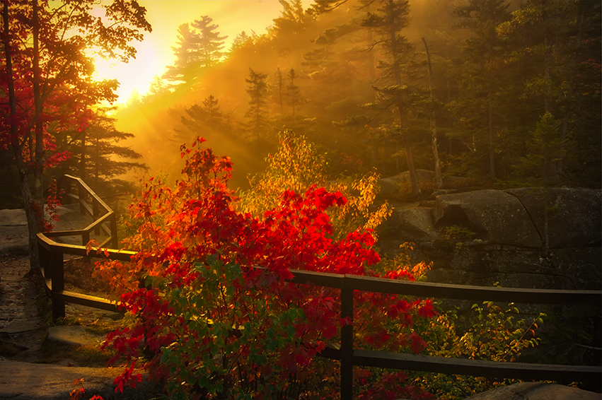 Fall Sunrise. Sometimes we end up capturing shots that were never planned and this was one of them. After my milkyway shot i drove to the hotel i booked which was 50mi away. On reaching the hotel, to my shock the registration office was closed and no one was answering the phone. I was tiered, sleepy and frustrated on the hotel guys. I left the hotel and drove back on the route i came and stopped at a place and tried to get some sleep in my SUV. It was clod and i was not able to sleep well. I was in two minds, if i should drive to the next point i had in mind which not a sunrise shot or drive back to the place i shot my milkyway and do a sunrise over there. I decided to drive to the milkyway spot, so drove another 50Mi. It was freezing cold as the place was in a mountain area so i switched on the heat in my car and was able to get the much needed sleep. I was not sure what kind of shots i would get at a sunrise over here, woke up just before sunrise and walked to this spot. When i saw the light i knew this would be the shot i would be happy. If you need prints then you can purchase at this link http://prints.chintlaphotography.com/Fall-Season/i-zfL3XML/A