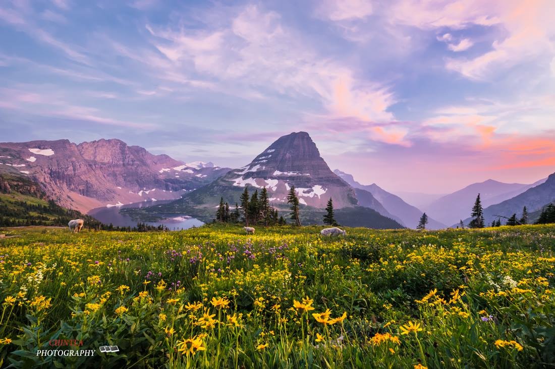 Fairytale Skies