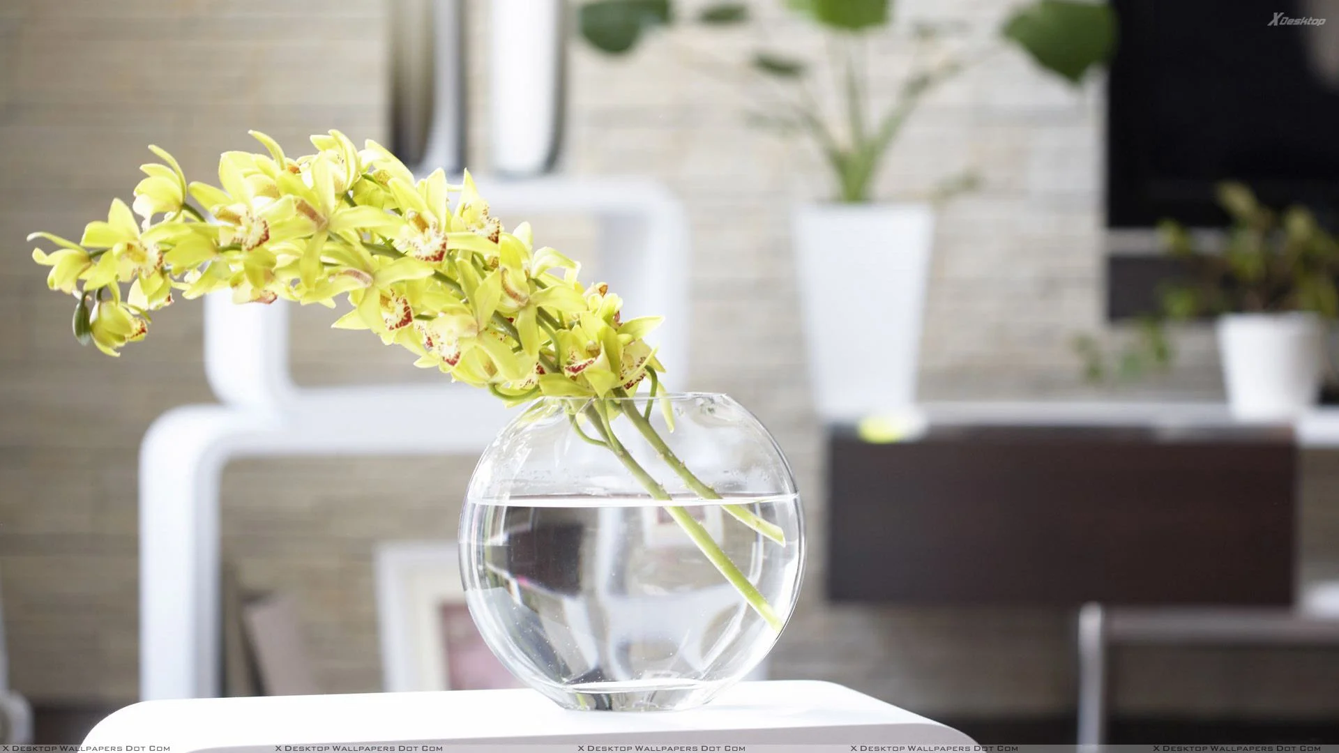 oriental-floral-display-modern-living.jpeg