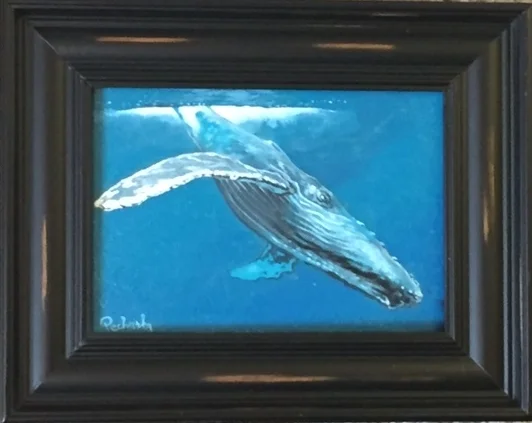 Humpback Whale 5x7.jpg