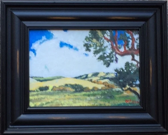 California Central Valley Framed.jpg