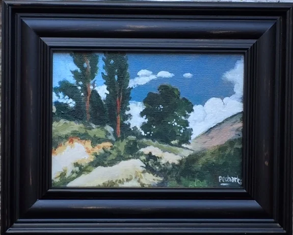 Central California Valley Framed.jpg