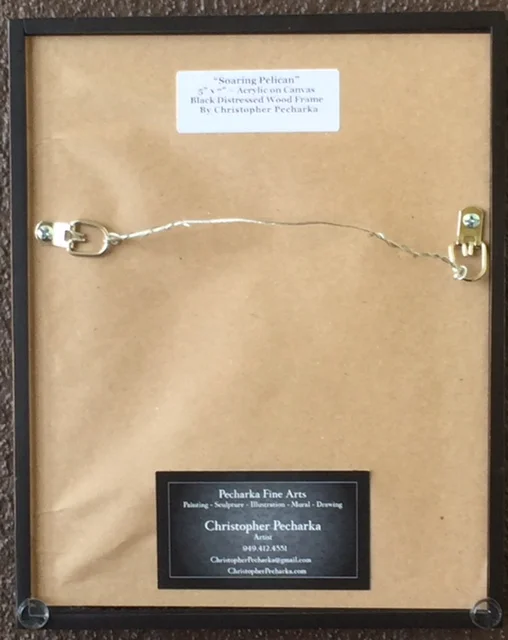 Soaring Pelican back.jpg