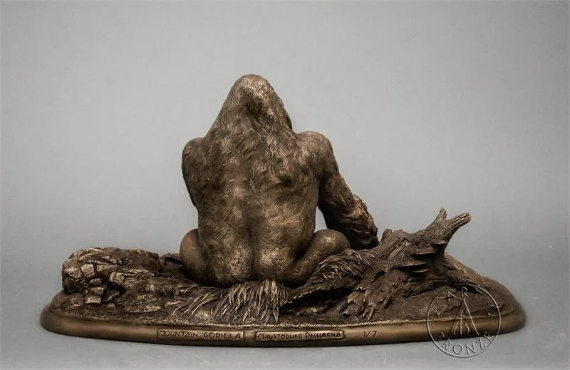 Mountain Gorilla Back.jpg