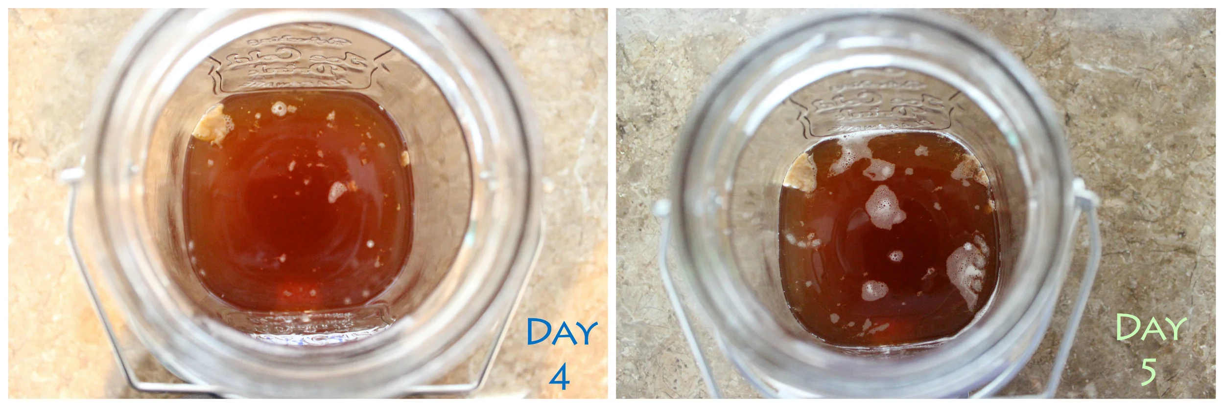 SCOBY - Day 4 and 5.jpg