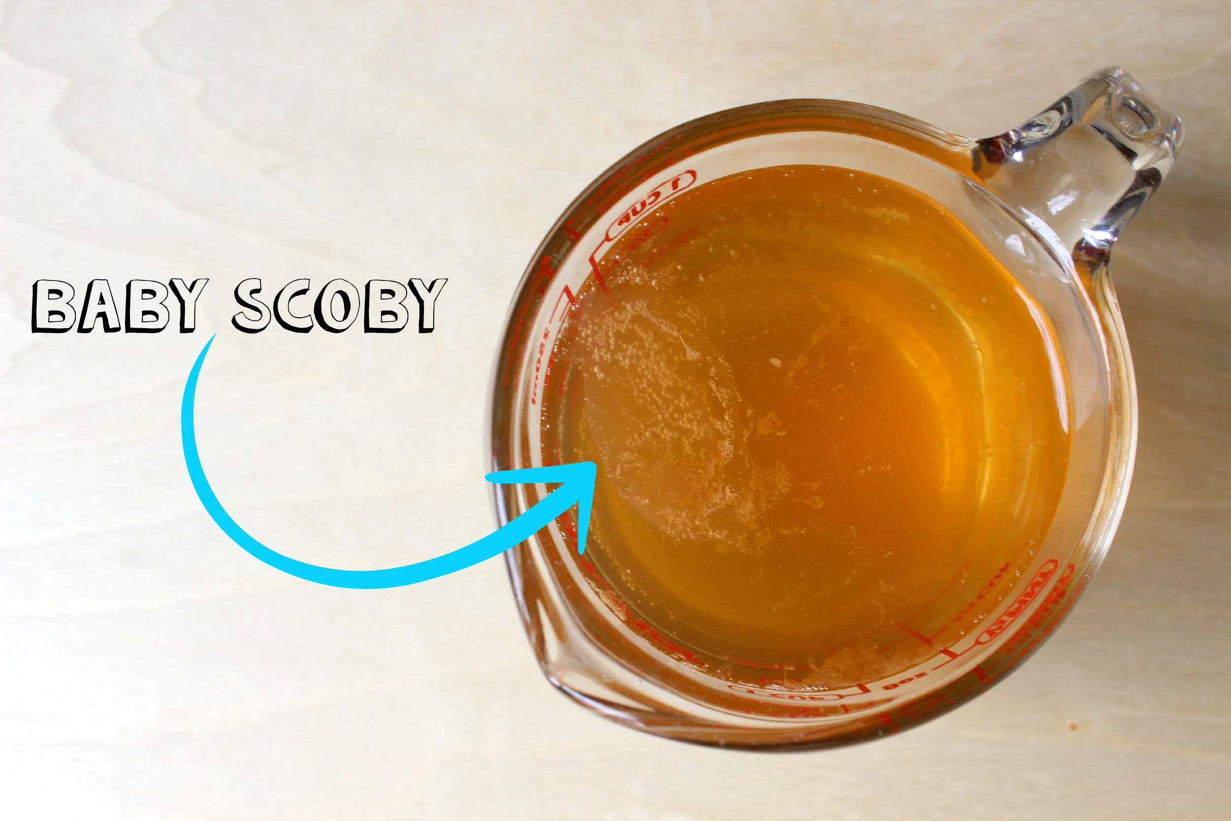 How To Make Your Own Kombucha Scoby From Scratch A Step By Step Guide Char Mcghie