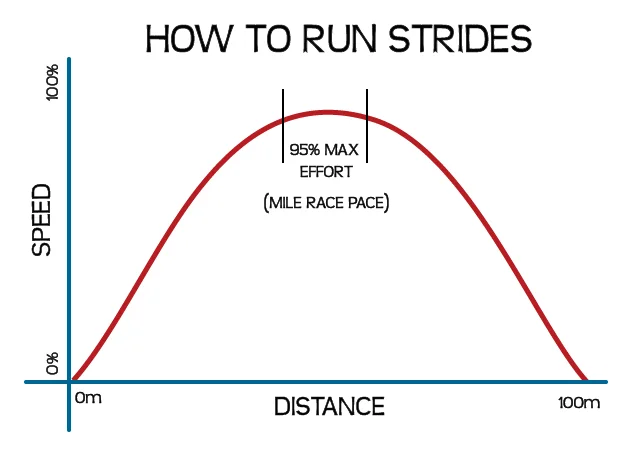 SR-Graph-Strides-2.jpg