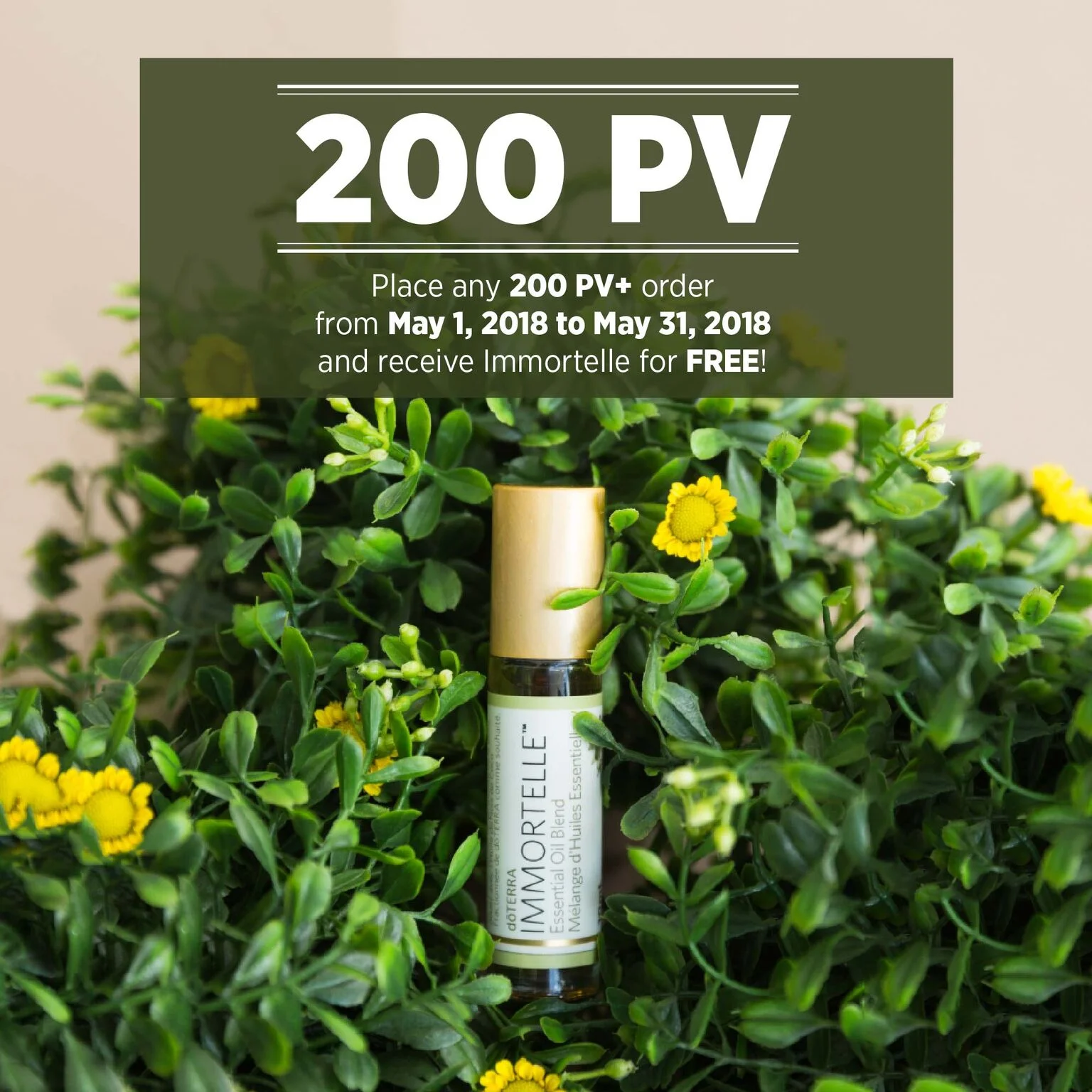 200 PV Canada-01_preview.jpg