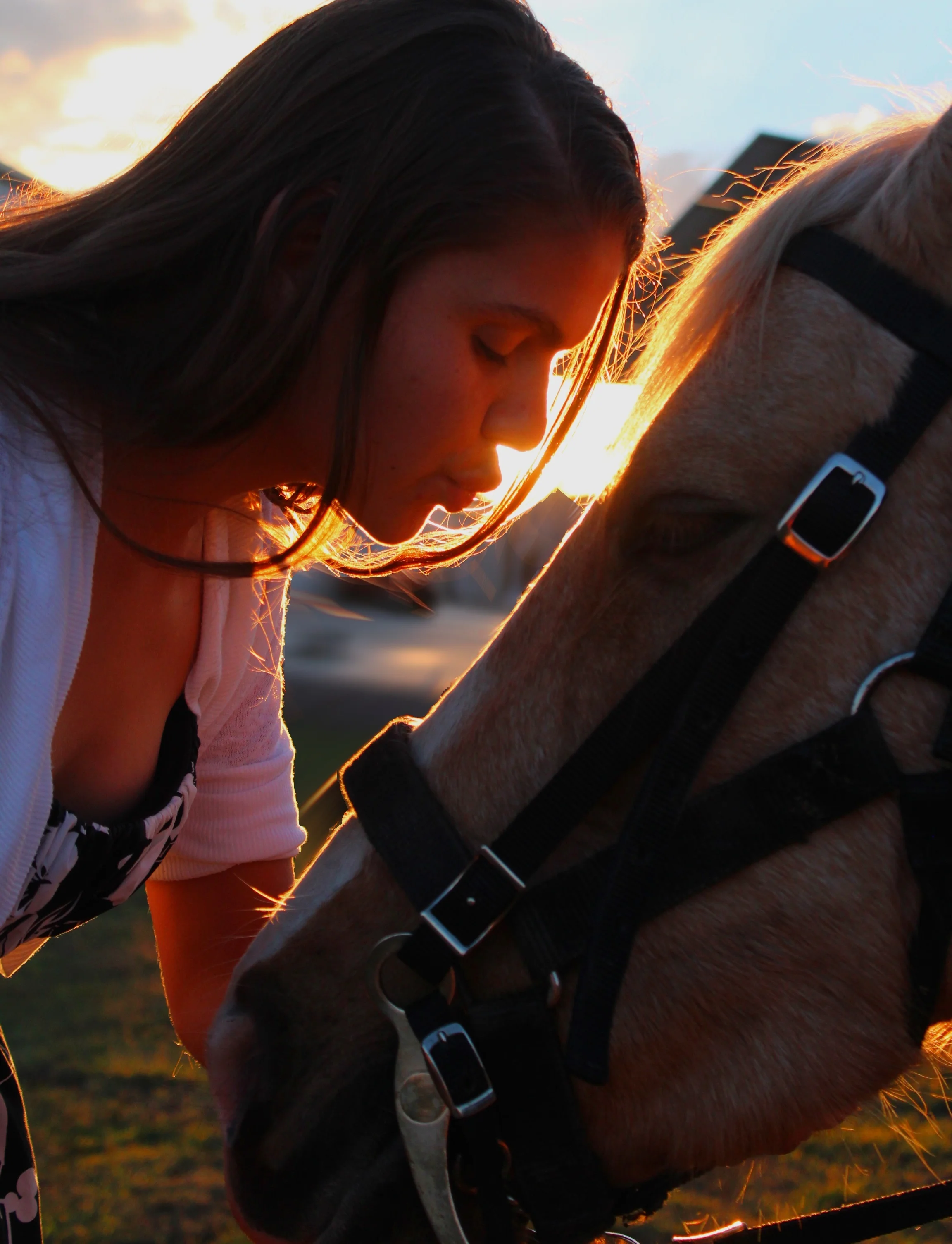million dollar horse.jpeg