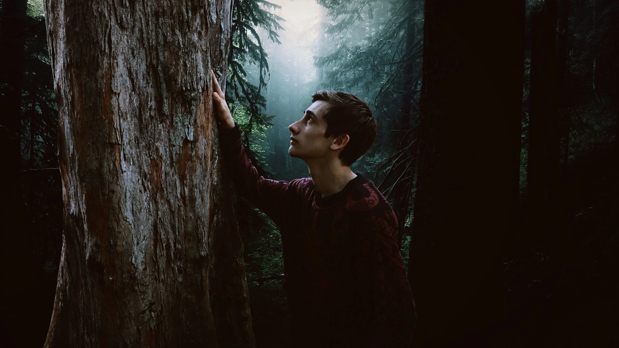 geben reiki liebe baum 2.jpeg