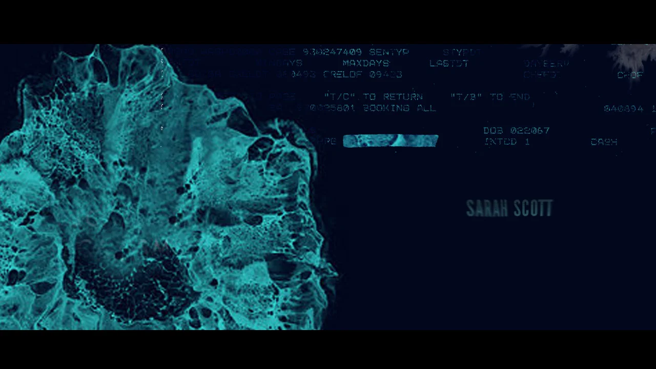 cobain_frame_11 copy.jpg