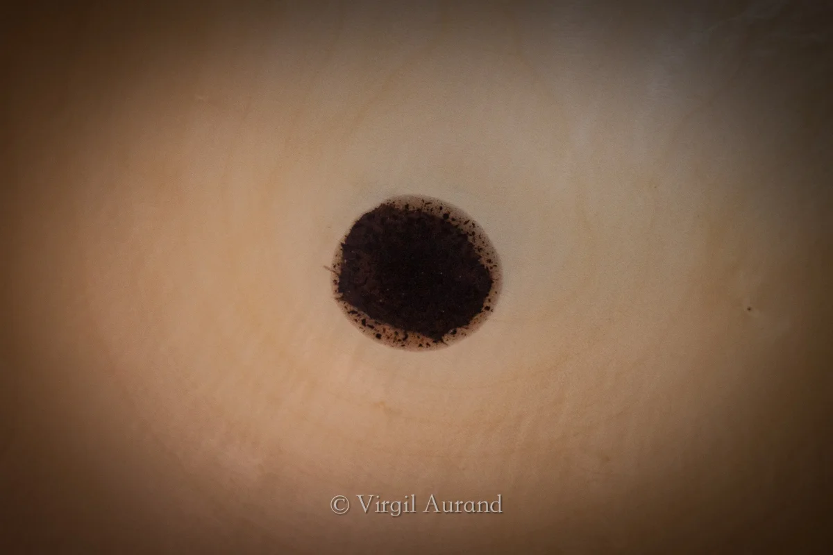 Translucent-Maple-Bowl-4.jpg