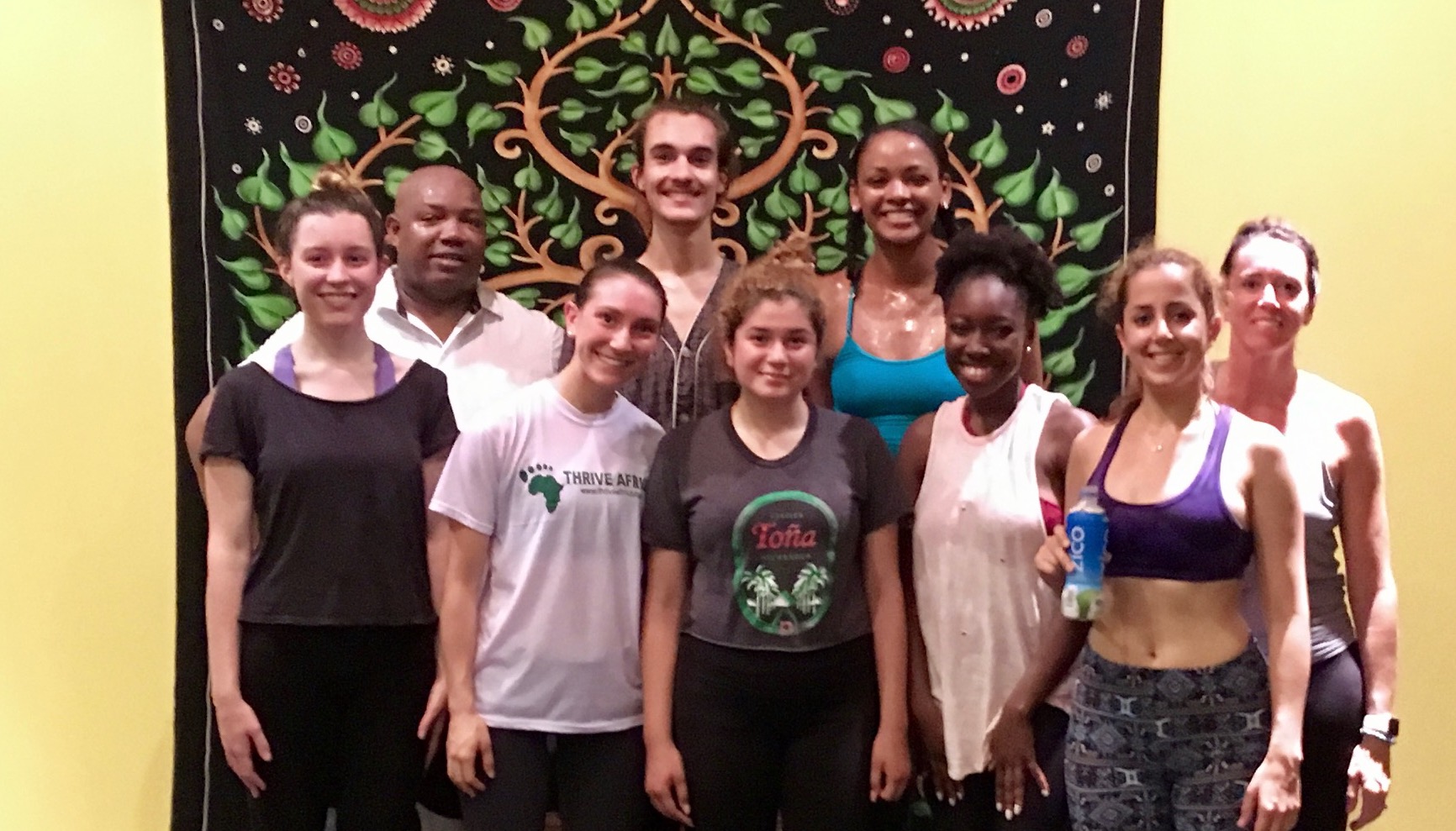 AEA Summer Program at MSU (2017)