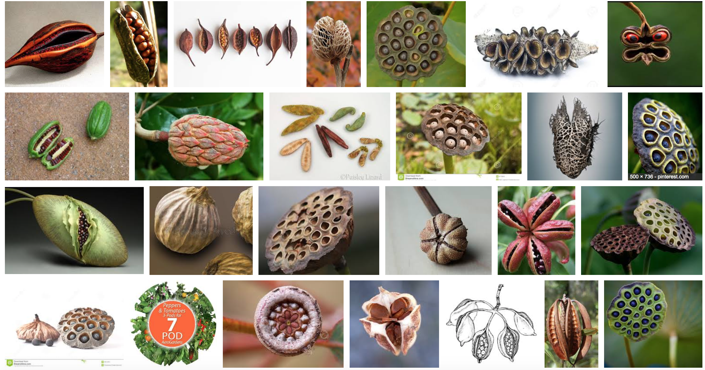 Screen Shot 2017-02-19 at 9.08.08 PM.png