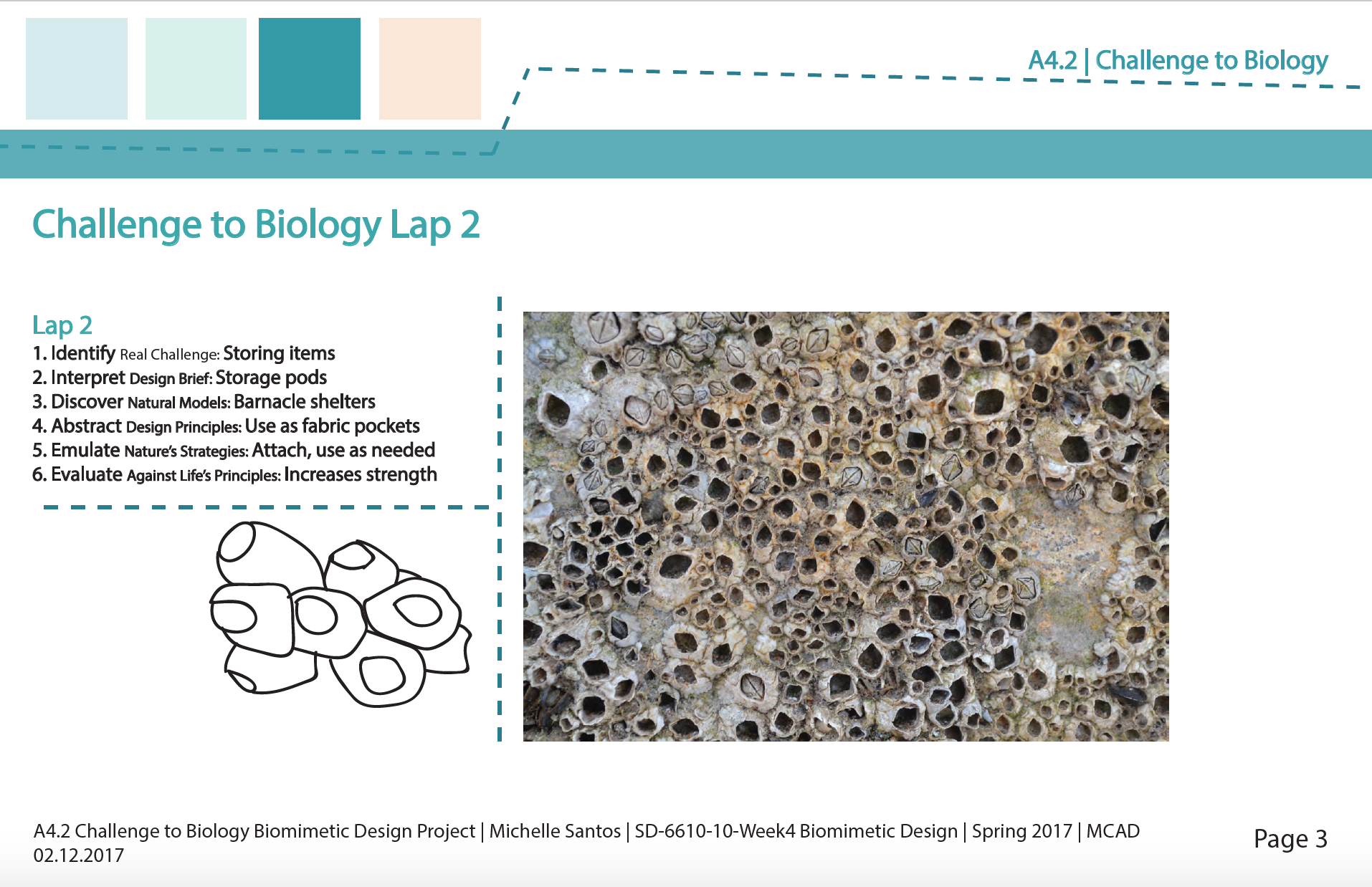 Screen Shot 2017-02-19 at 10.22.41 PM.png