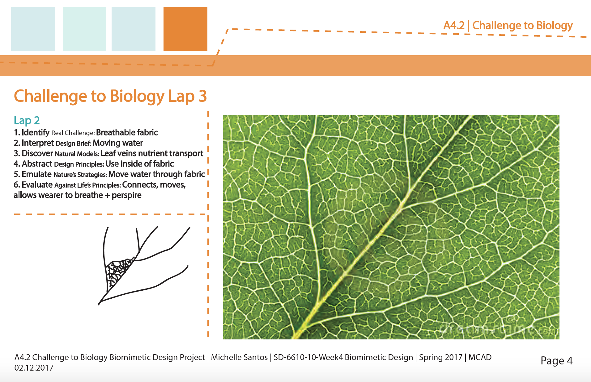 Screen Shot 2017-02-19 at 10.22.48 PM.png