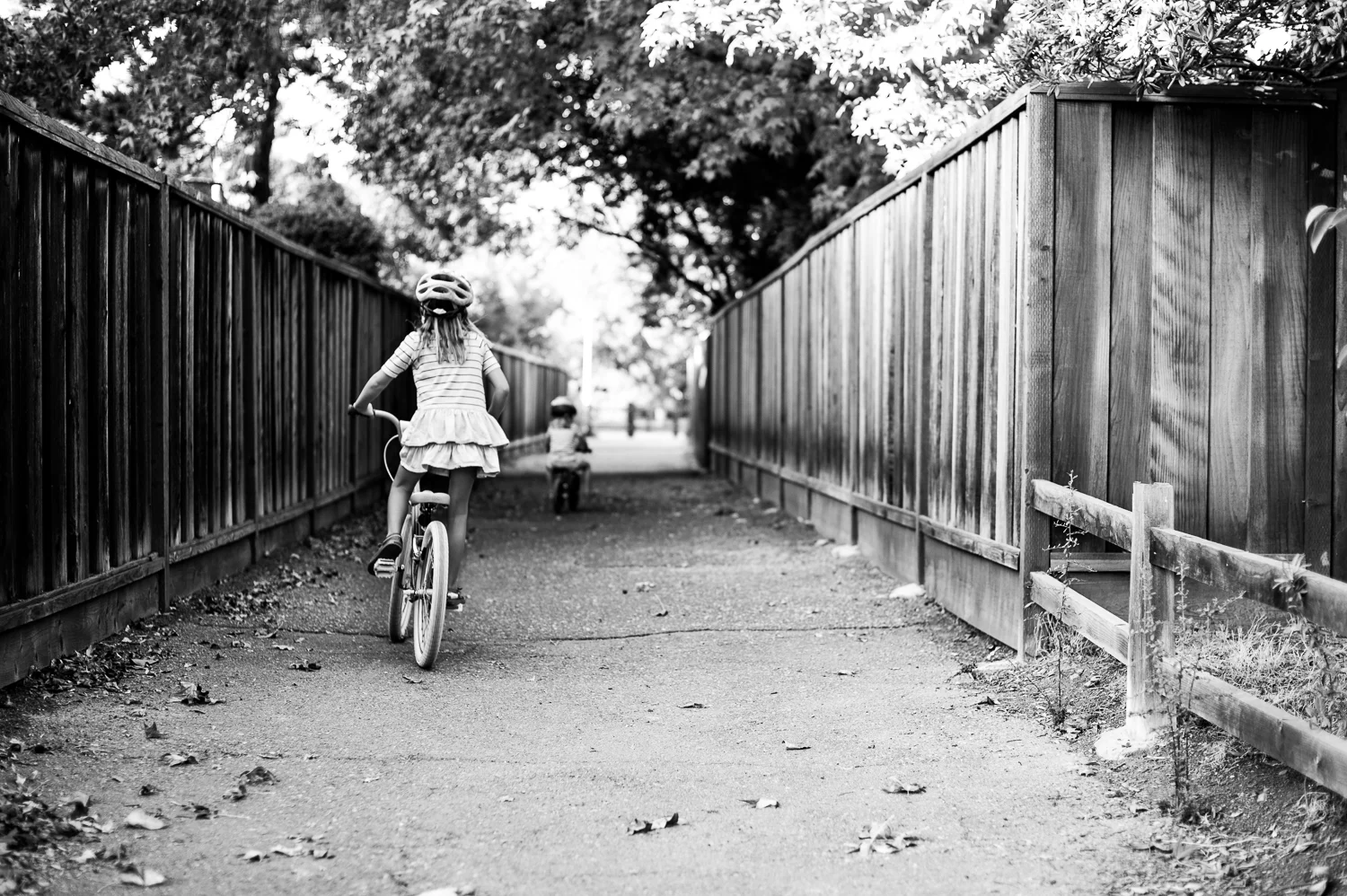 20150910-DSC_5910kristy harrison.jpg