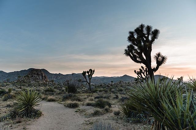 Hello weekend and the unofficial start of summer! We are headed to a National Park in California this weekend (but not this one). It&rsquo;s one of the lesser-visited parks, an I&rsquo;m looking forward to going off the grid and adding a new park to 