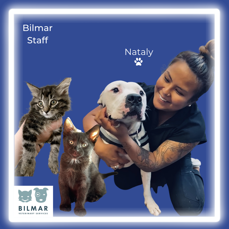 Bilmar Veterinary Services