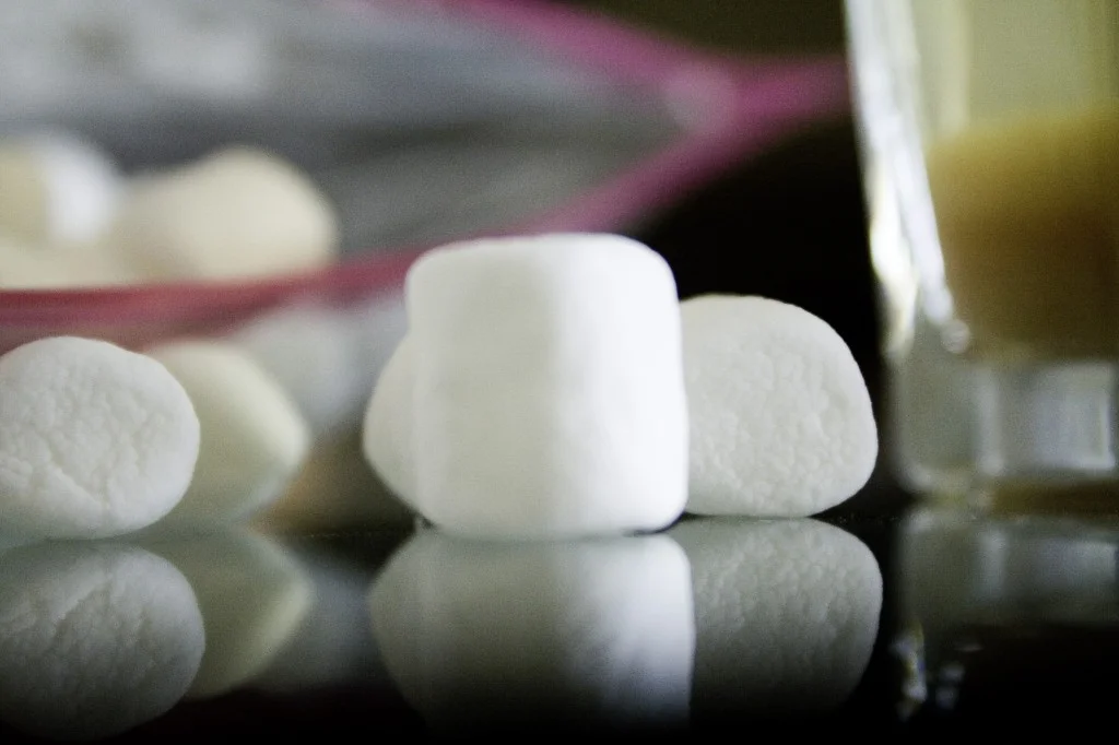 "What the 'marshmallow test' can teach you about your kids" Review